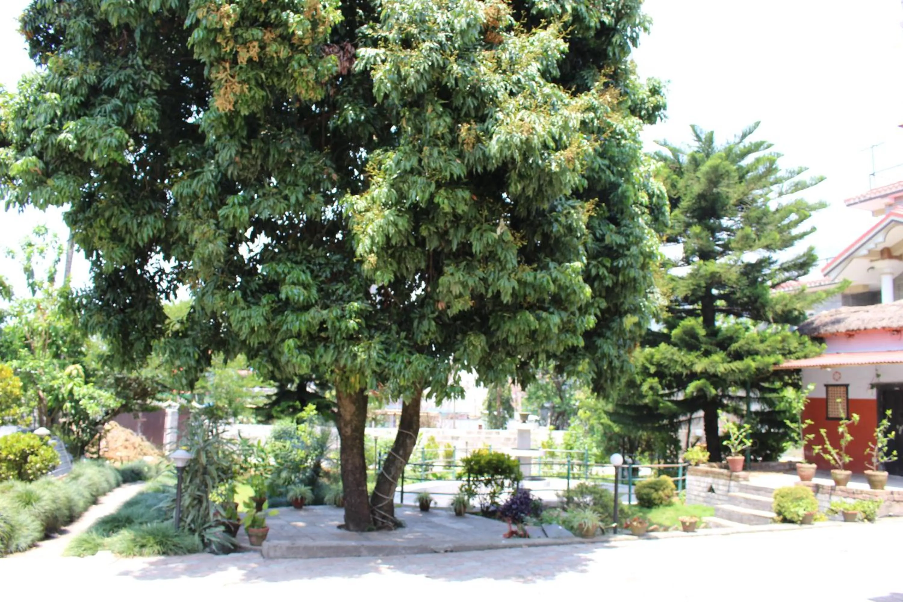 Garden in Tuki Resort Pokhara