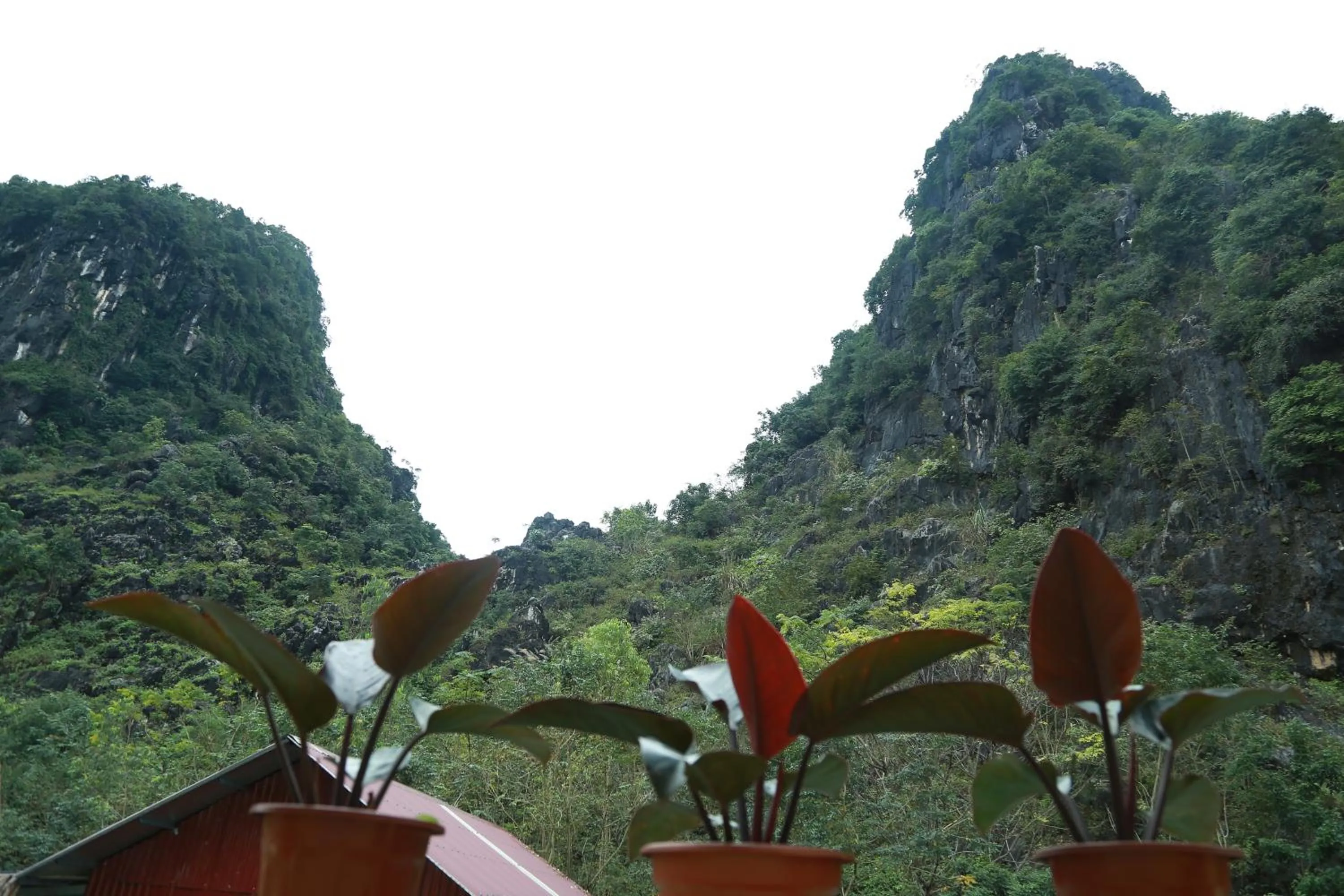 Natural landscape in Gold Plus Hotel