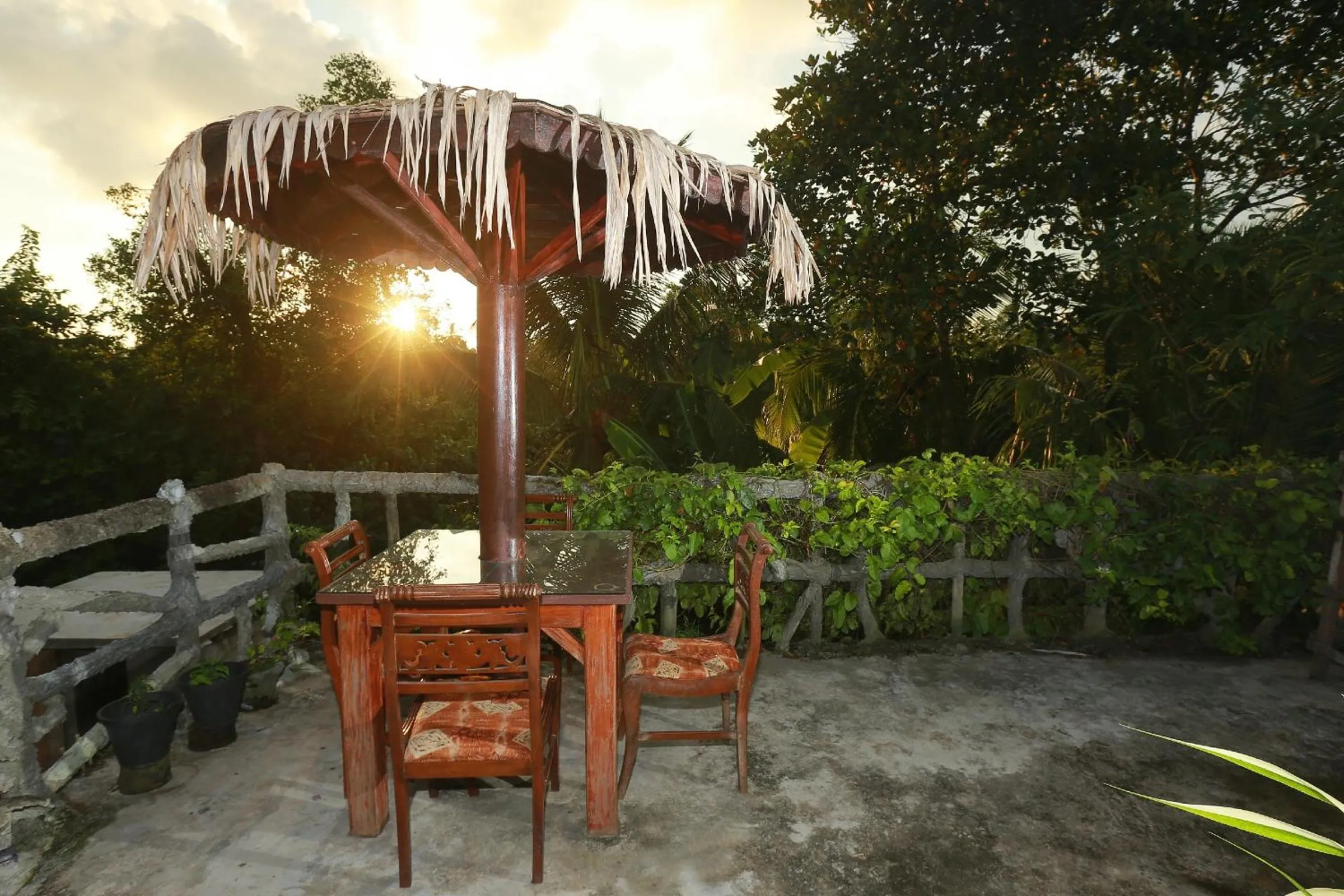 Garden view in Galle Paradise Inn