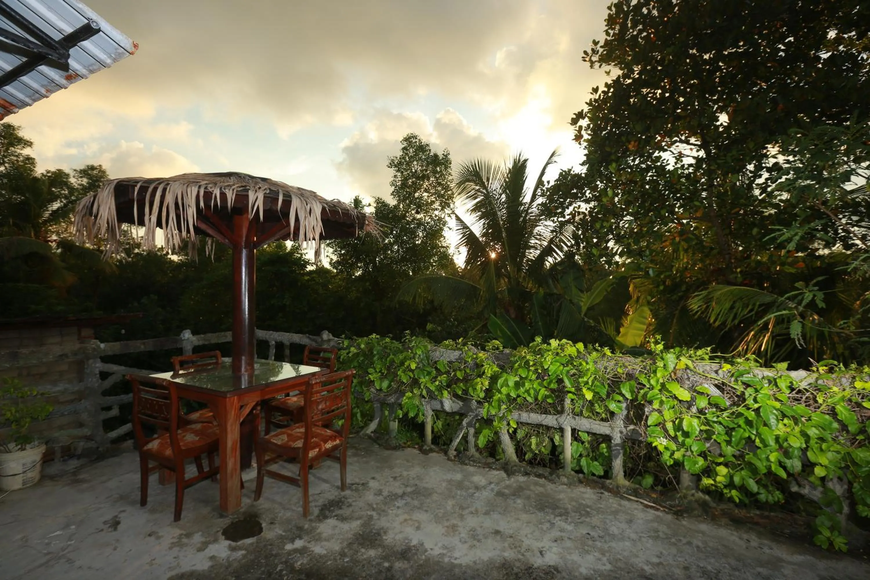 Garden view in Galle Paradise Inn