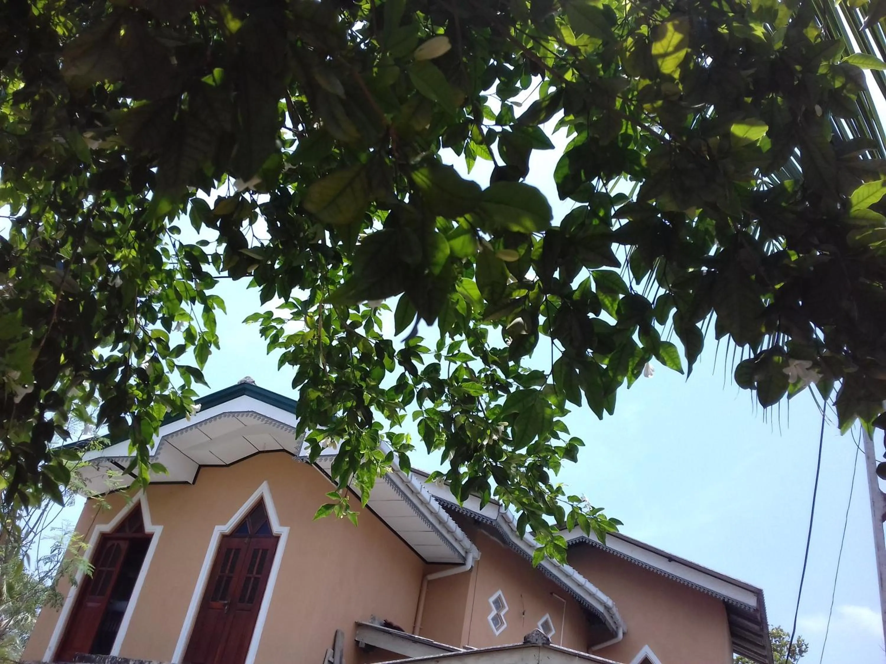 Property building in Galle Paradise Inn
