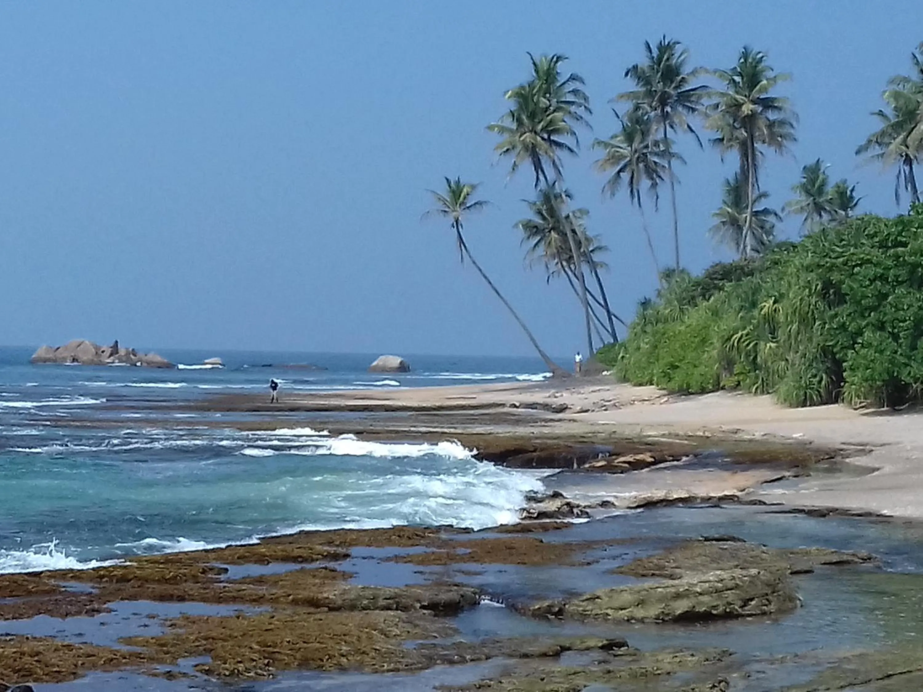 Beach in Galle Paradise Inn