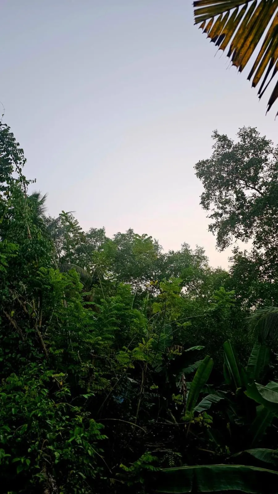 Location in Galle Paradise Inn