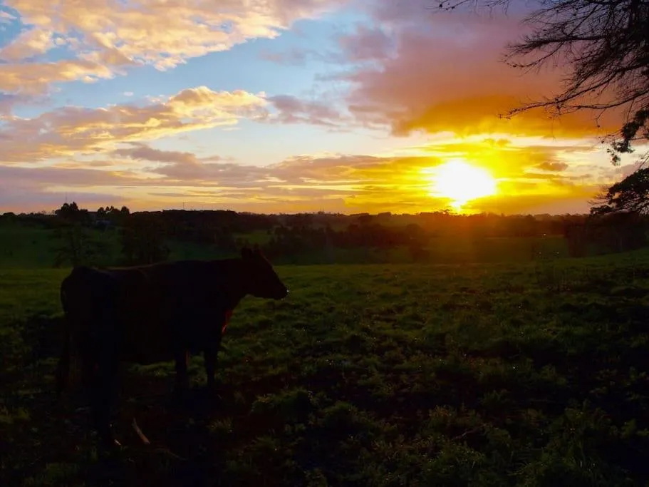 Manderley Park Farmstay B&B