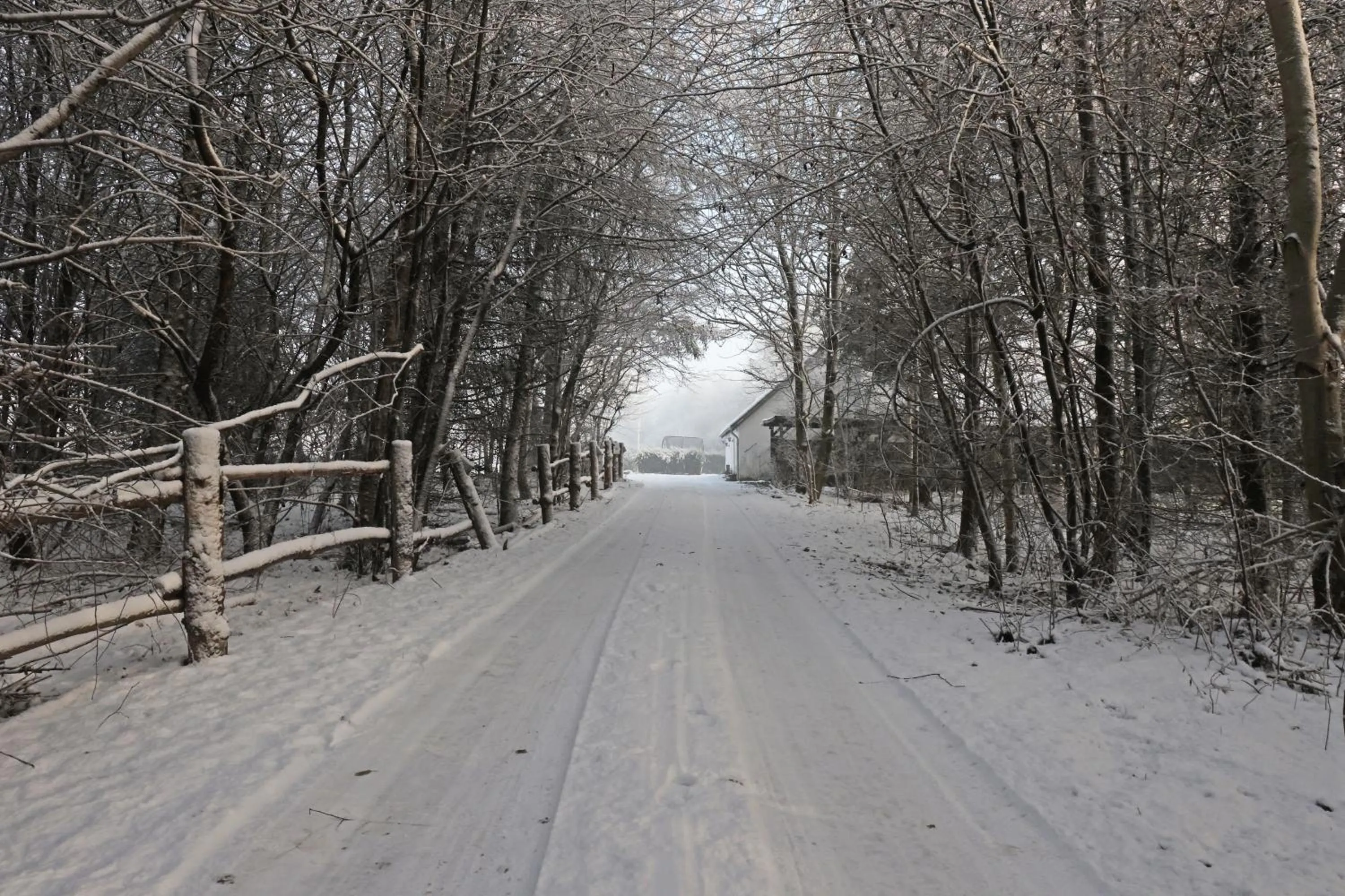 Natural landscape in Storm's stay - Near MCH & BOXEN