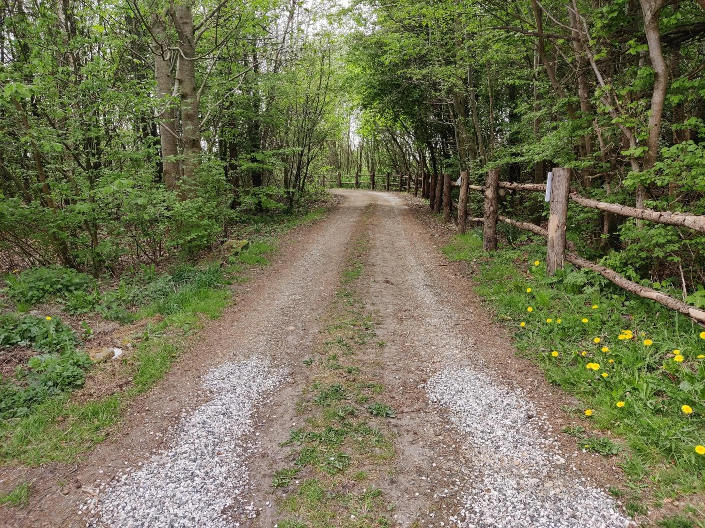 Natural landscape in Storm's stay - Near MCH & BOXEN
