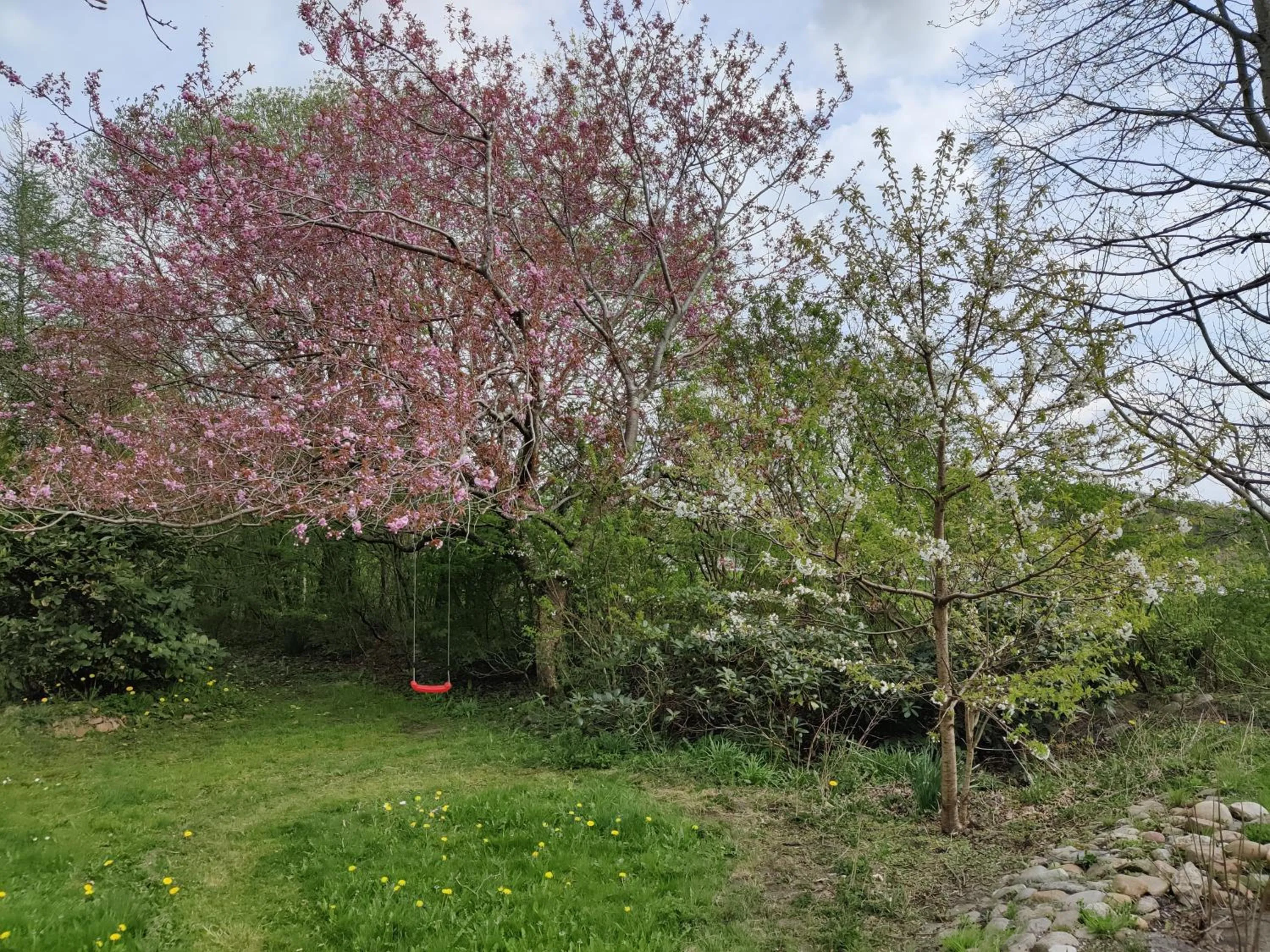 Natural landscape in Storm's stay - Near MCH & BOXEN