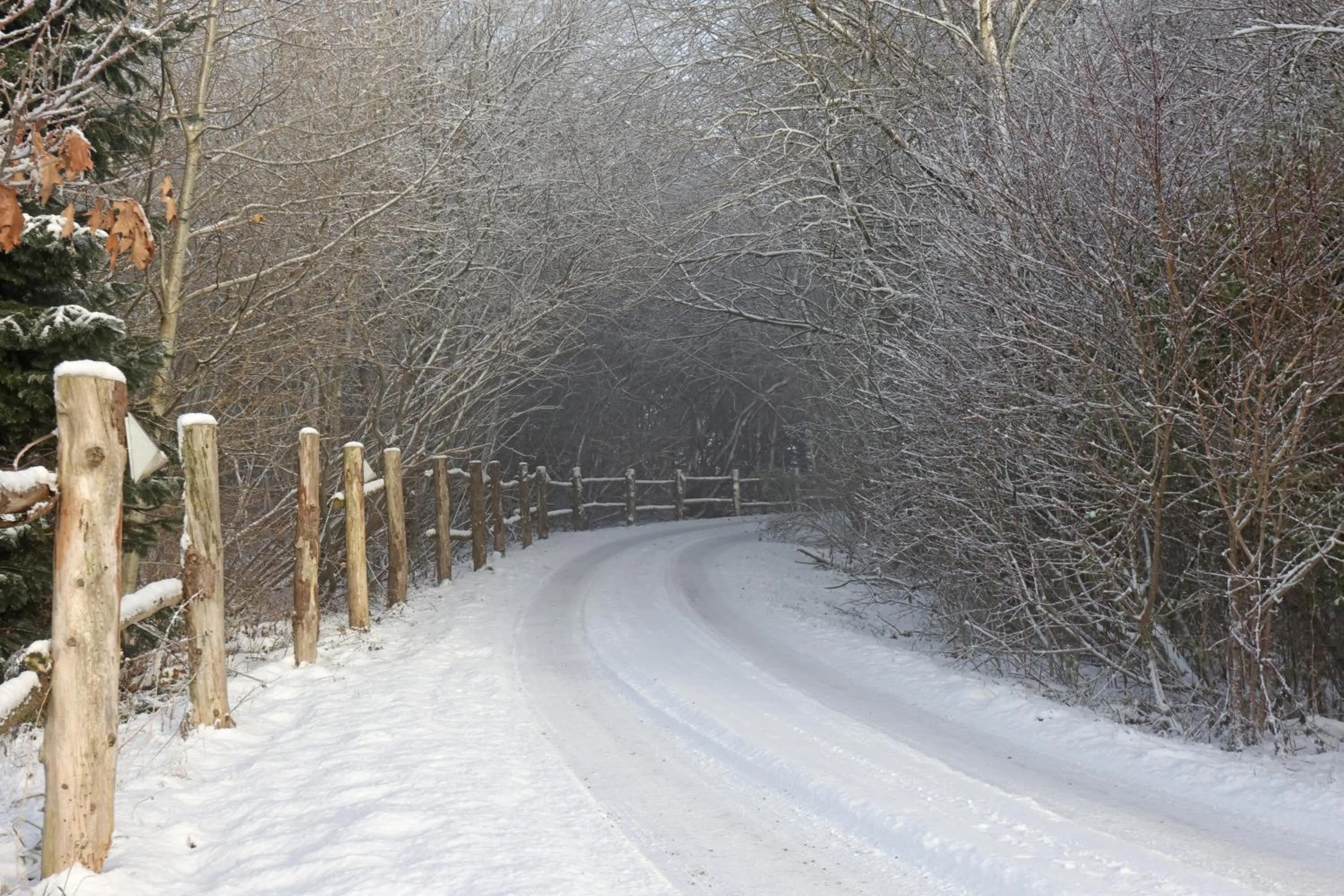 Natural landscape in Storm's stay - Near MCH & BOXEN