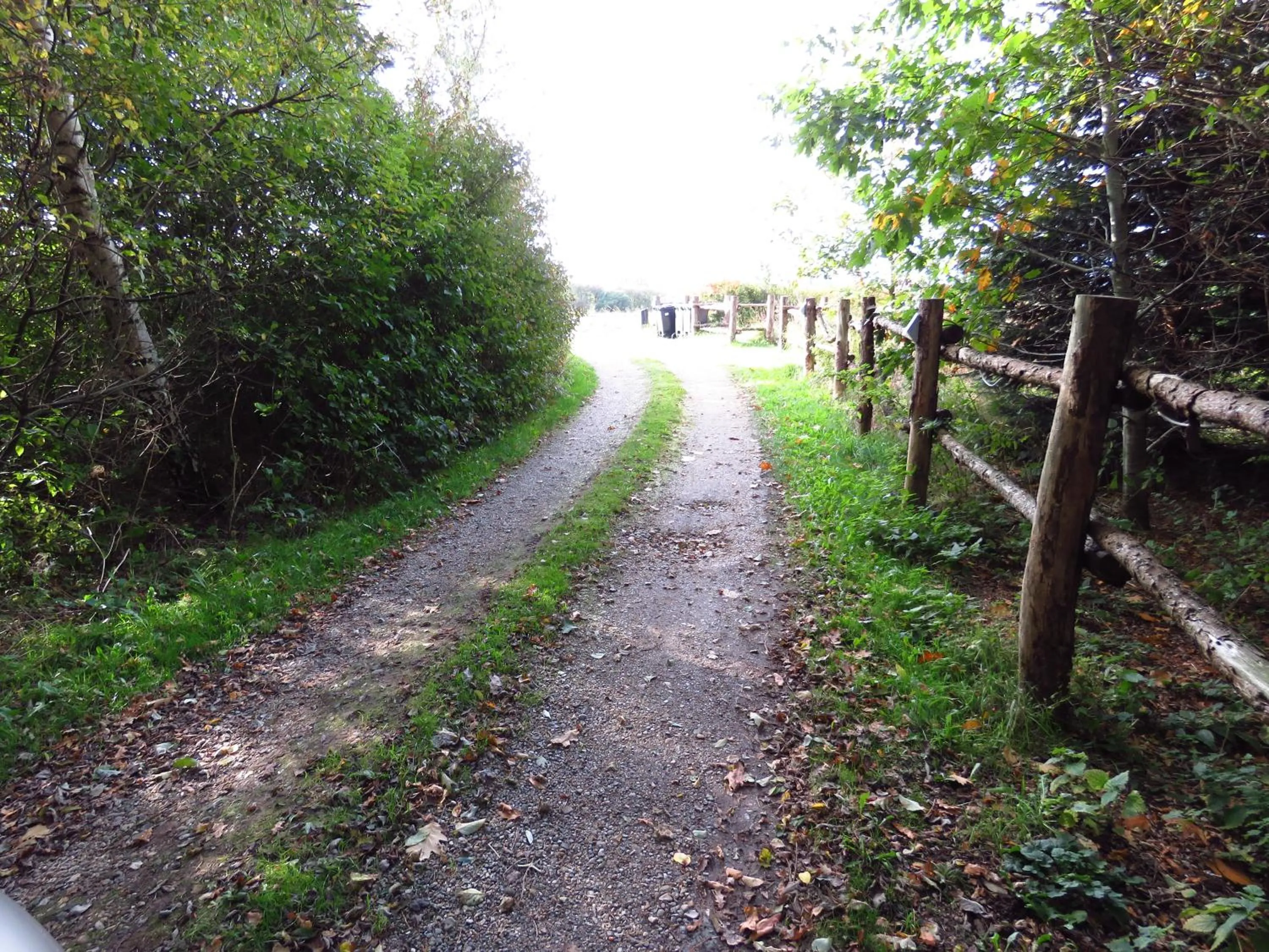 Natural landscape in Storm's stay - Near MCH & BOXEN