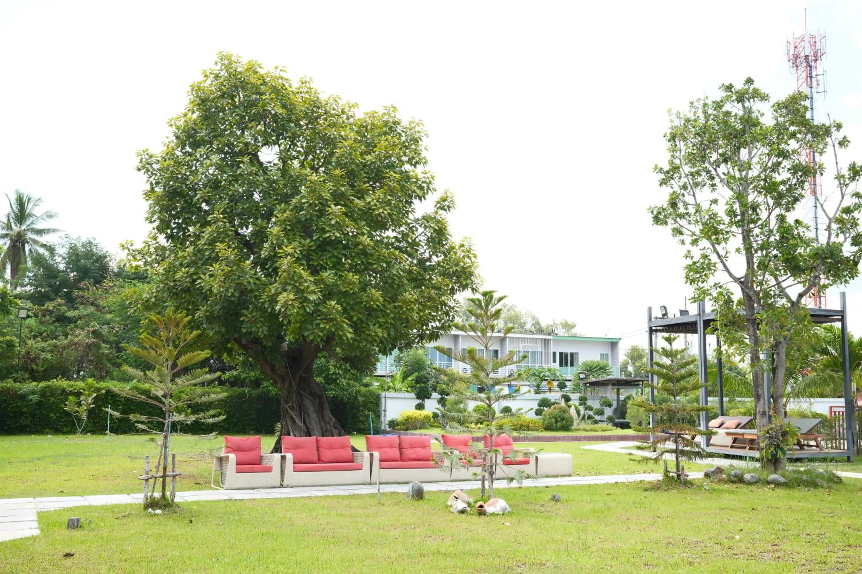 Garden in Socool Grand Hotel