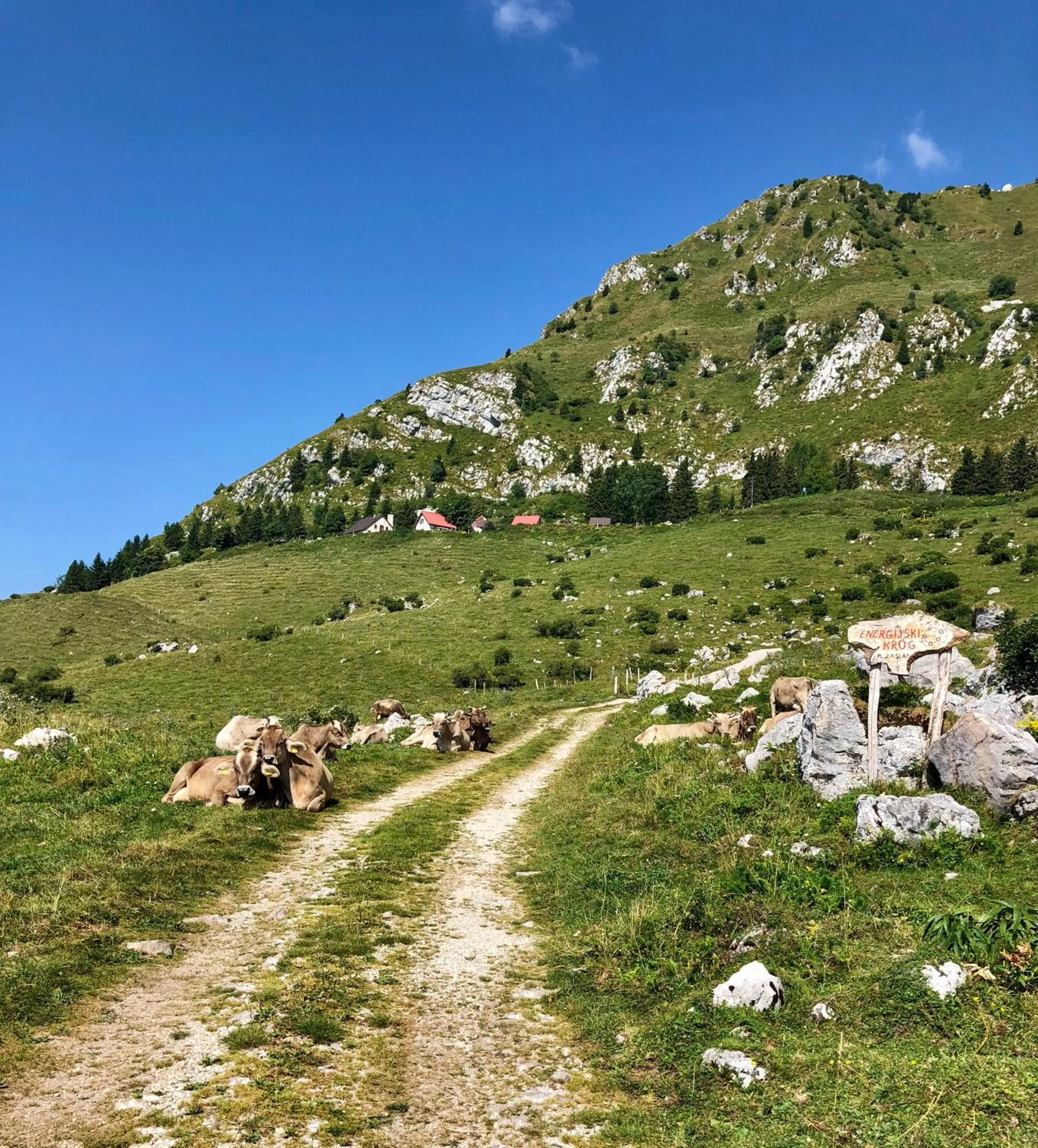 Summer in Hisa Rejmr with private parking