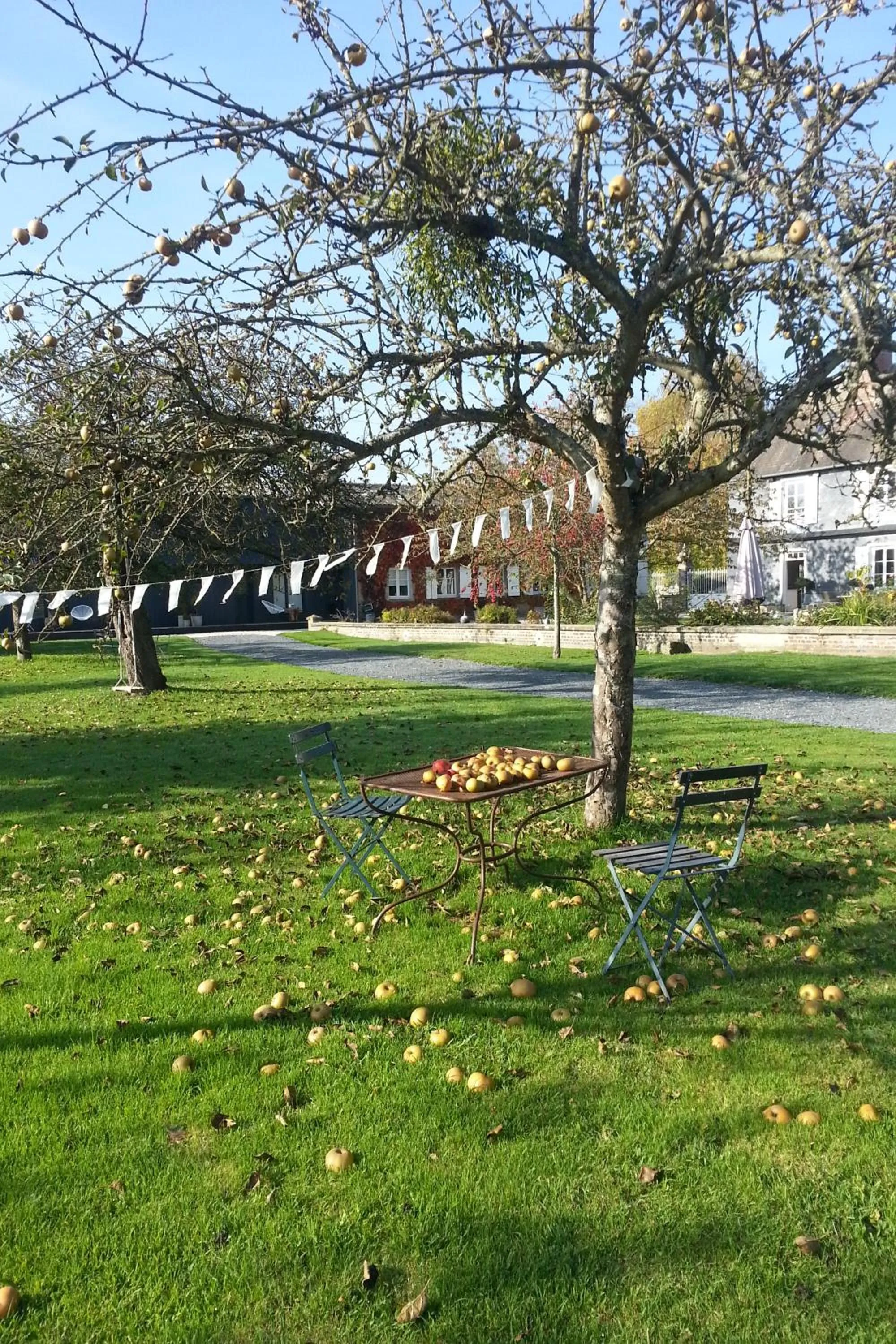 Garden in Par Hasard ou pas