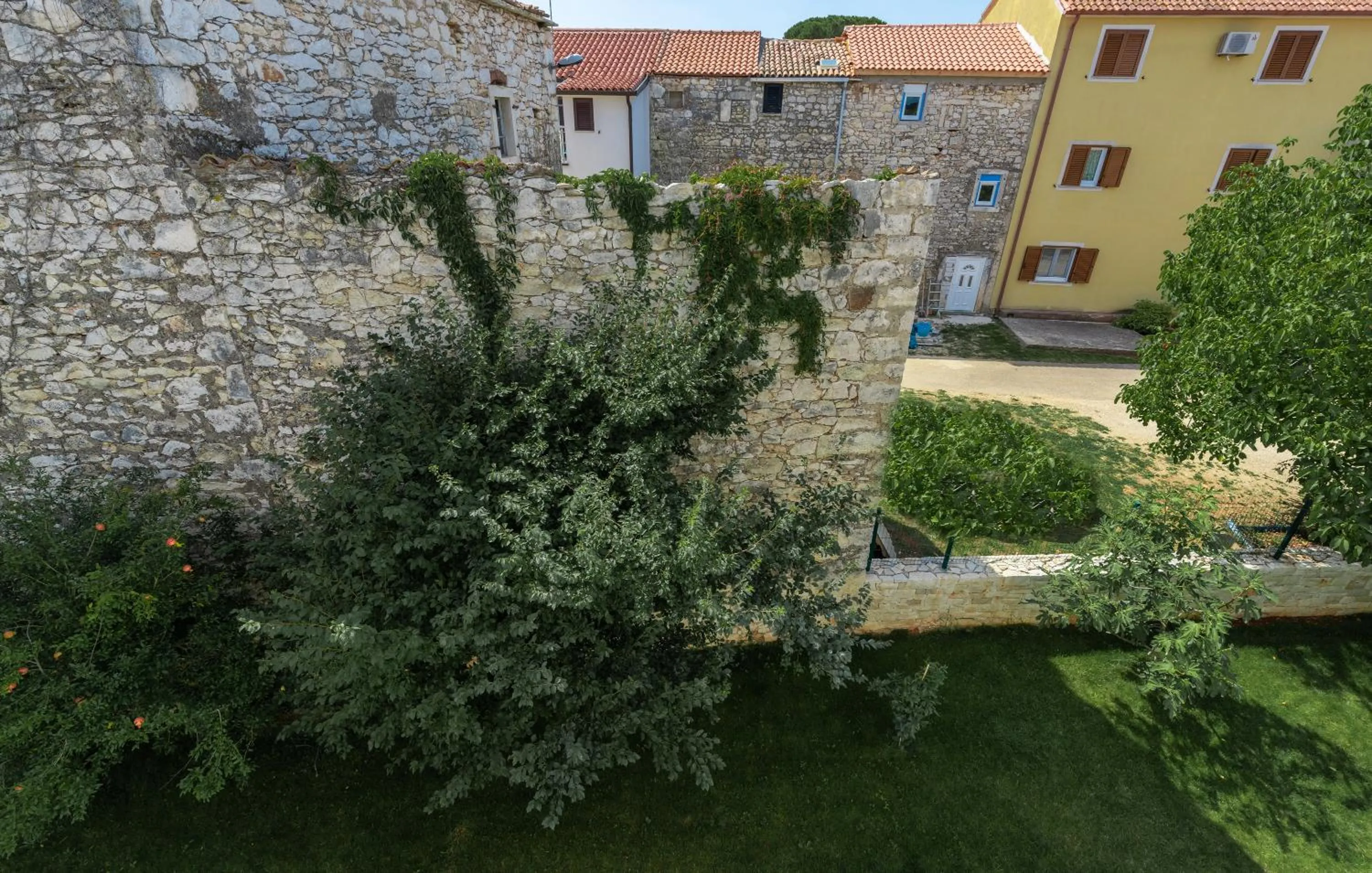 Natural landscape in The Village