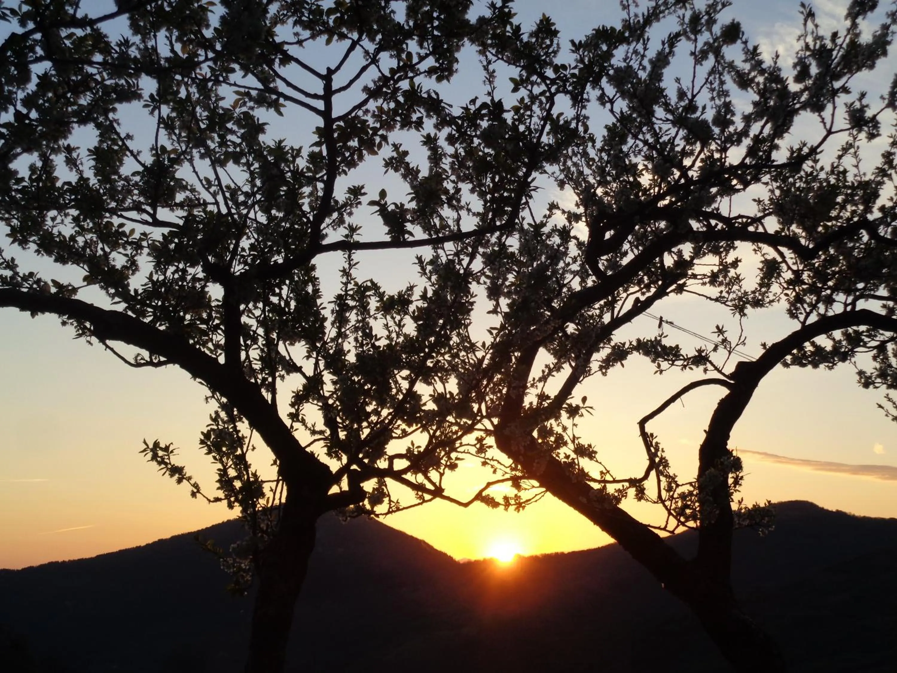 Other in B&B La Bredia