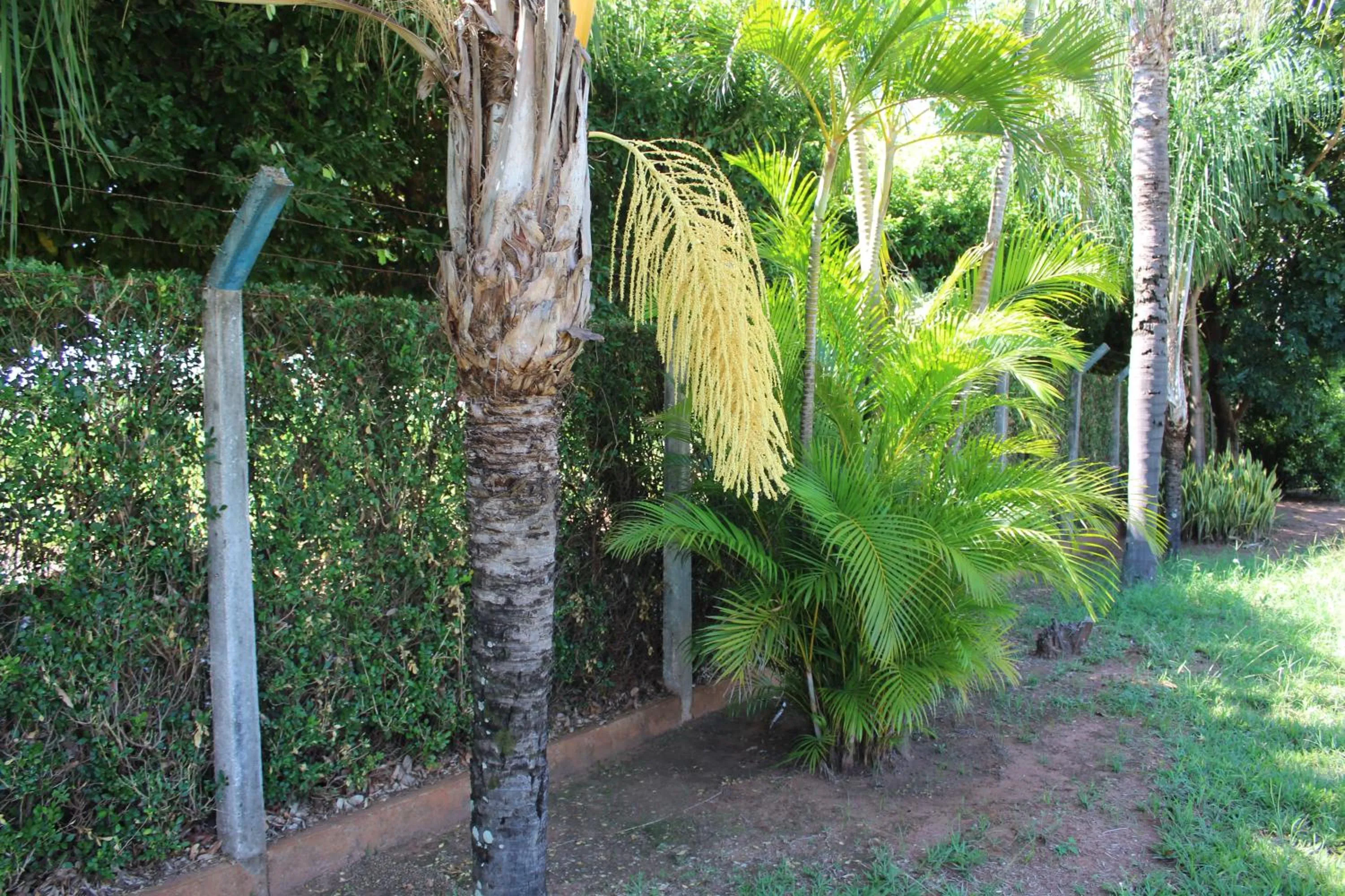 Grandes Lagos Park Hotel