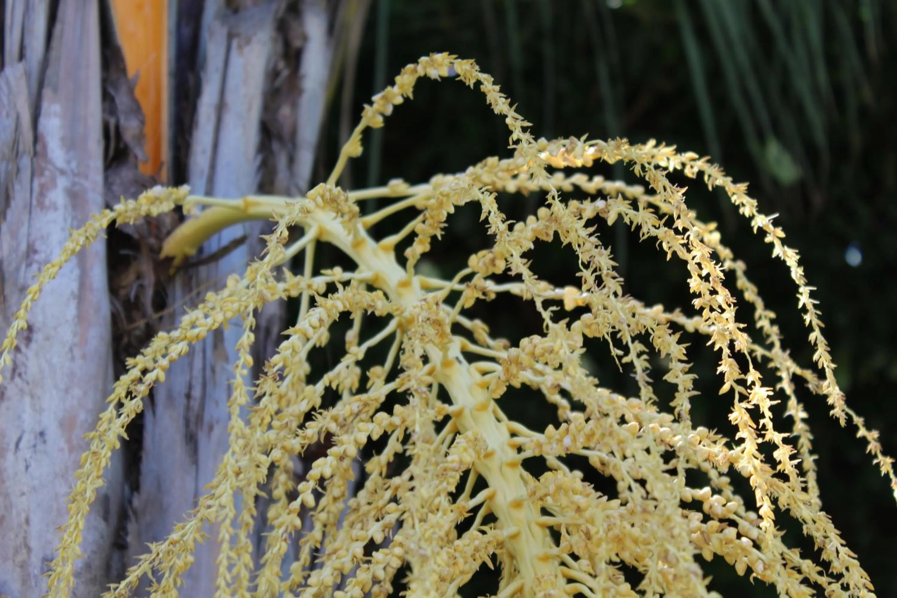 Grandes Lagos Park Hotel