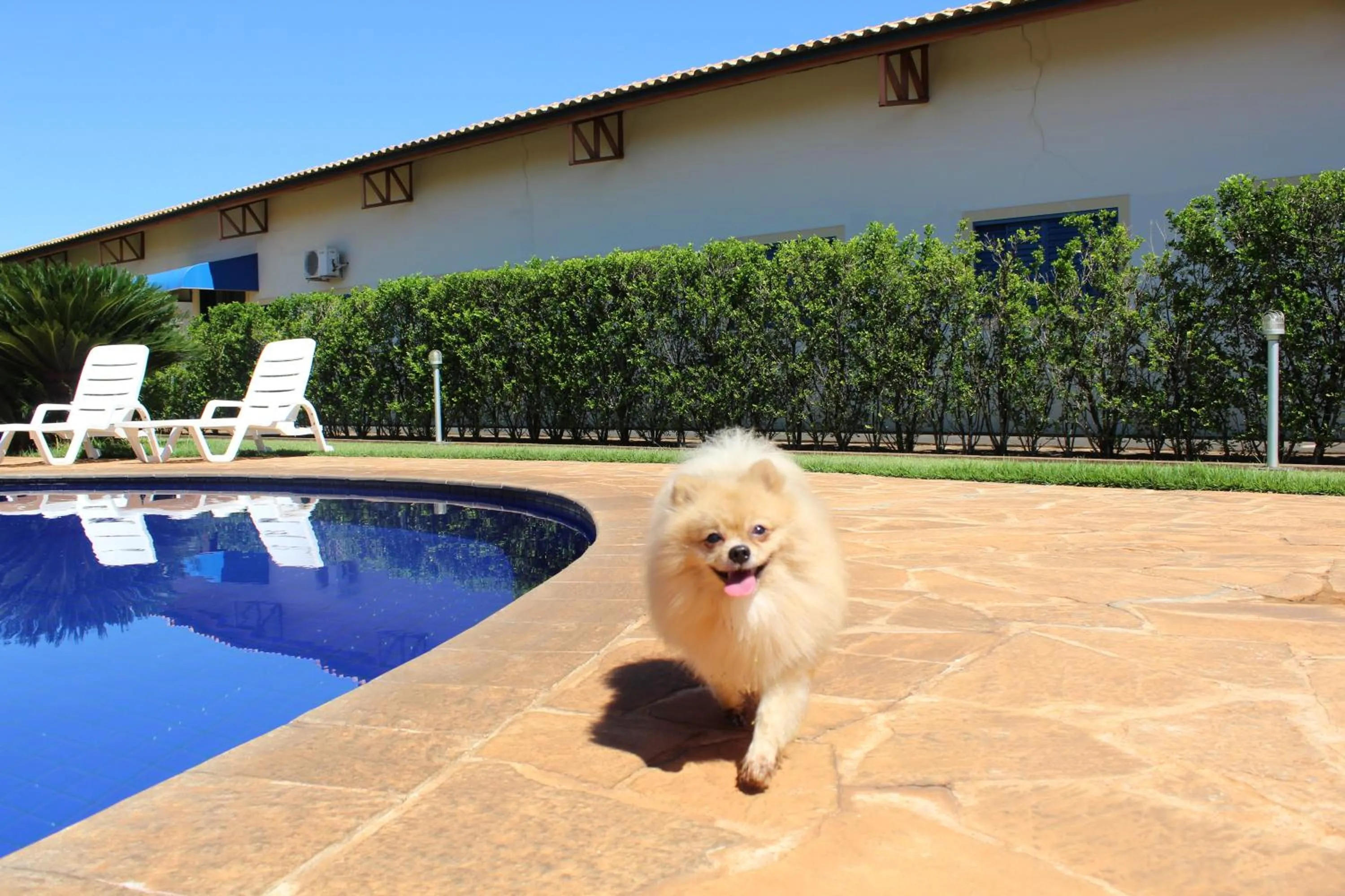 Grandes Lagos Park Hotel