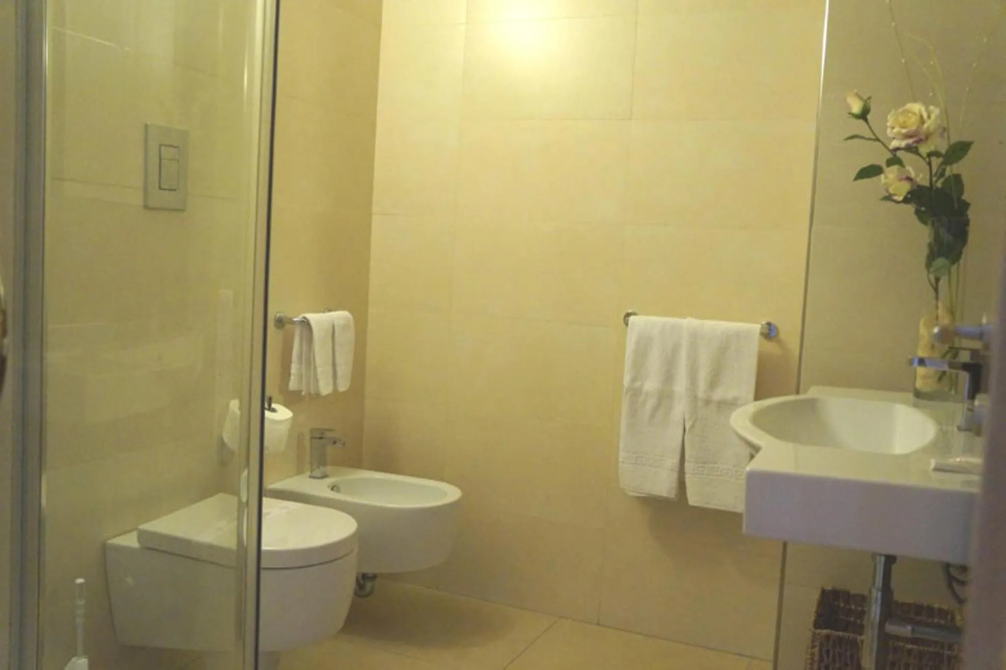 Shower in Appartamenti Serena