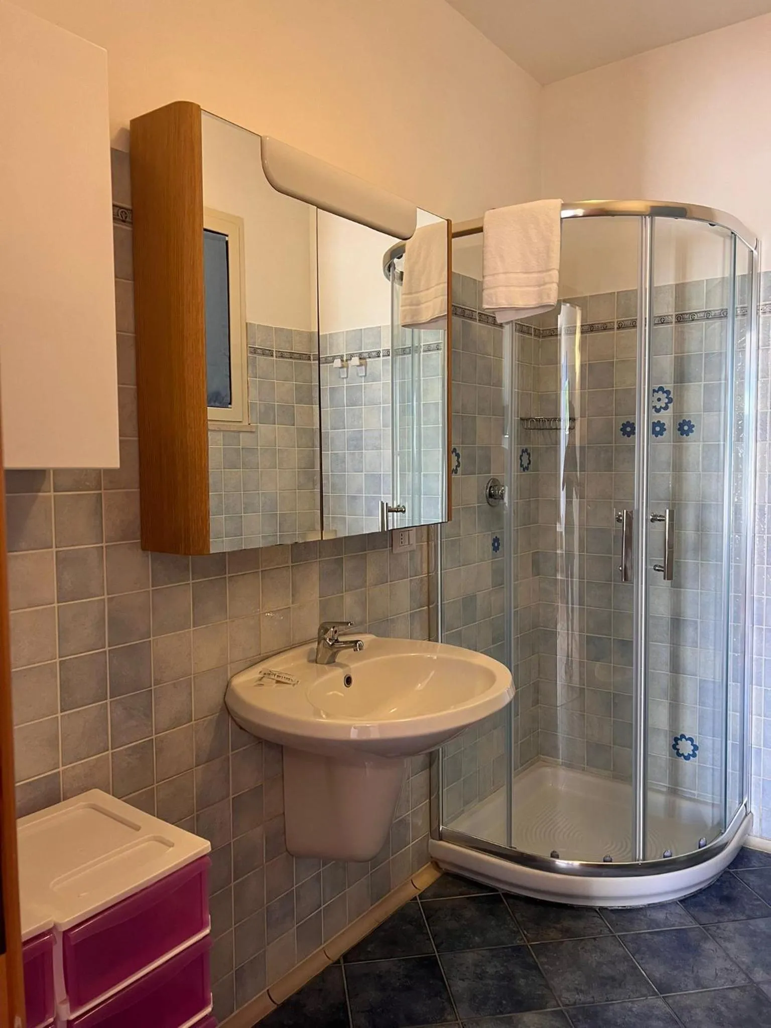 Shower in Appartamenti Serena