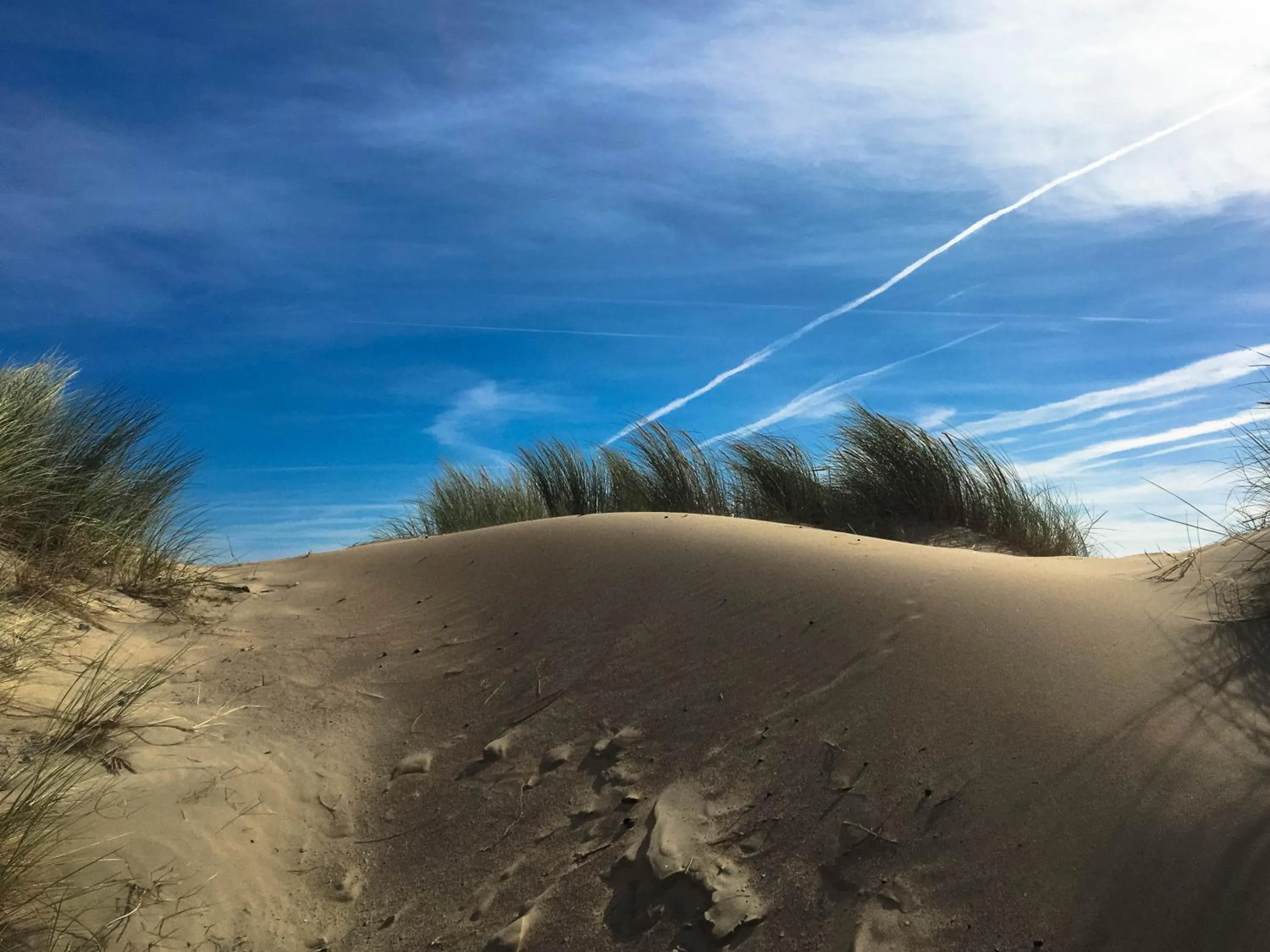 Natural landscape in Table d'Hôte Teune & Janna