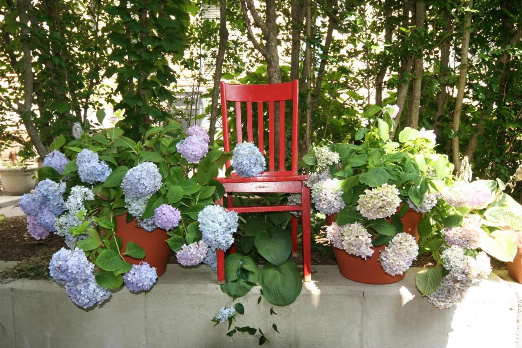 Property building in Hydrangea House Inn