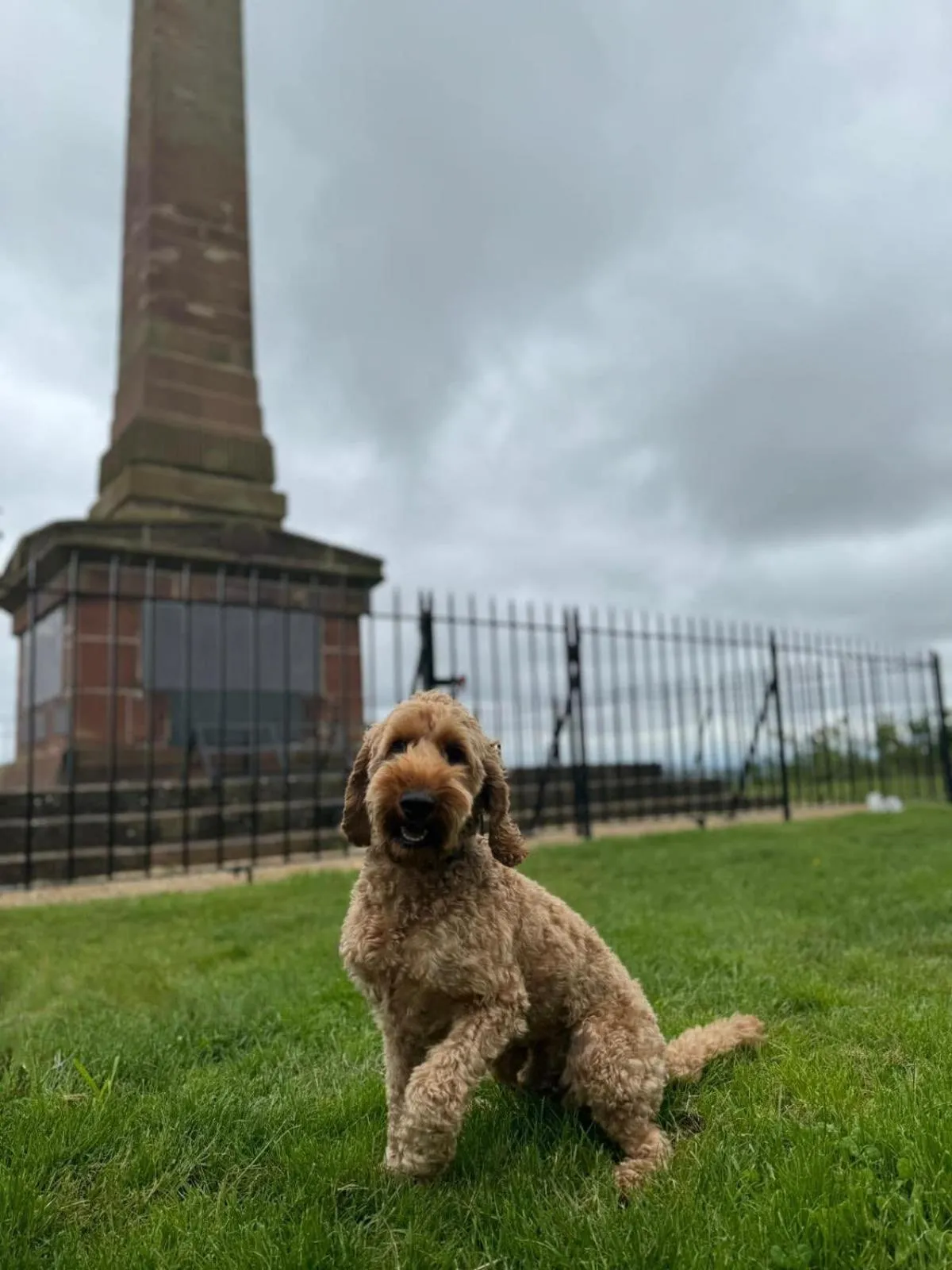 Nearby landmark in Best Western Frodsham Forest Hills Hotel