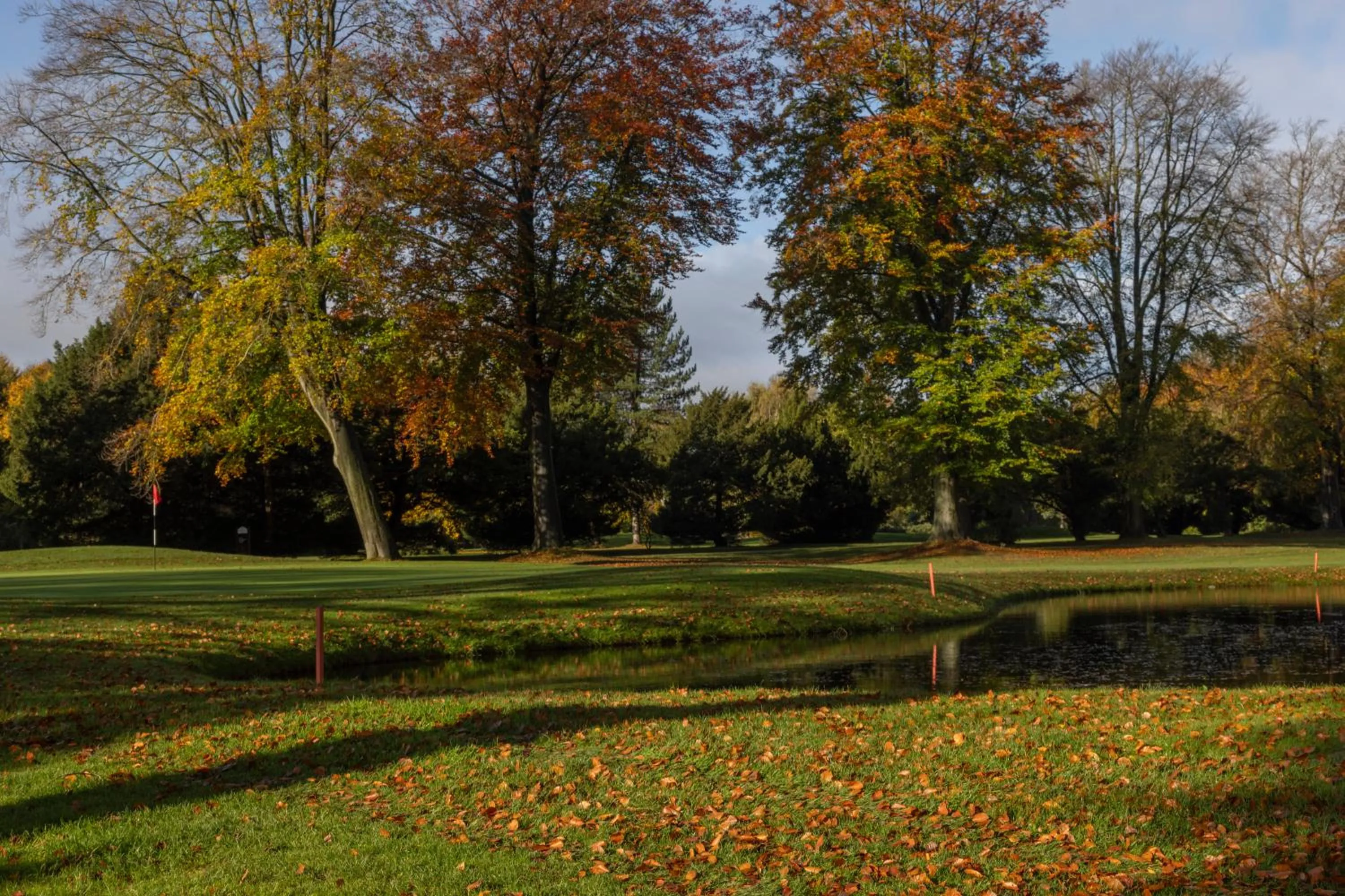 Golfcourse in Forest Pines Hotel, Spa & Golf Resort