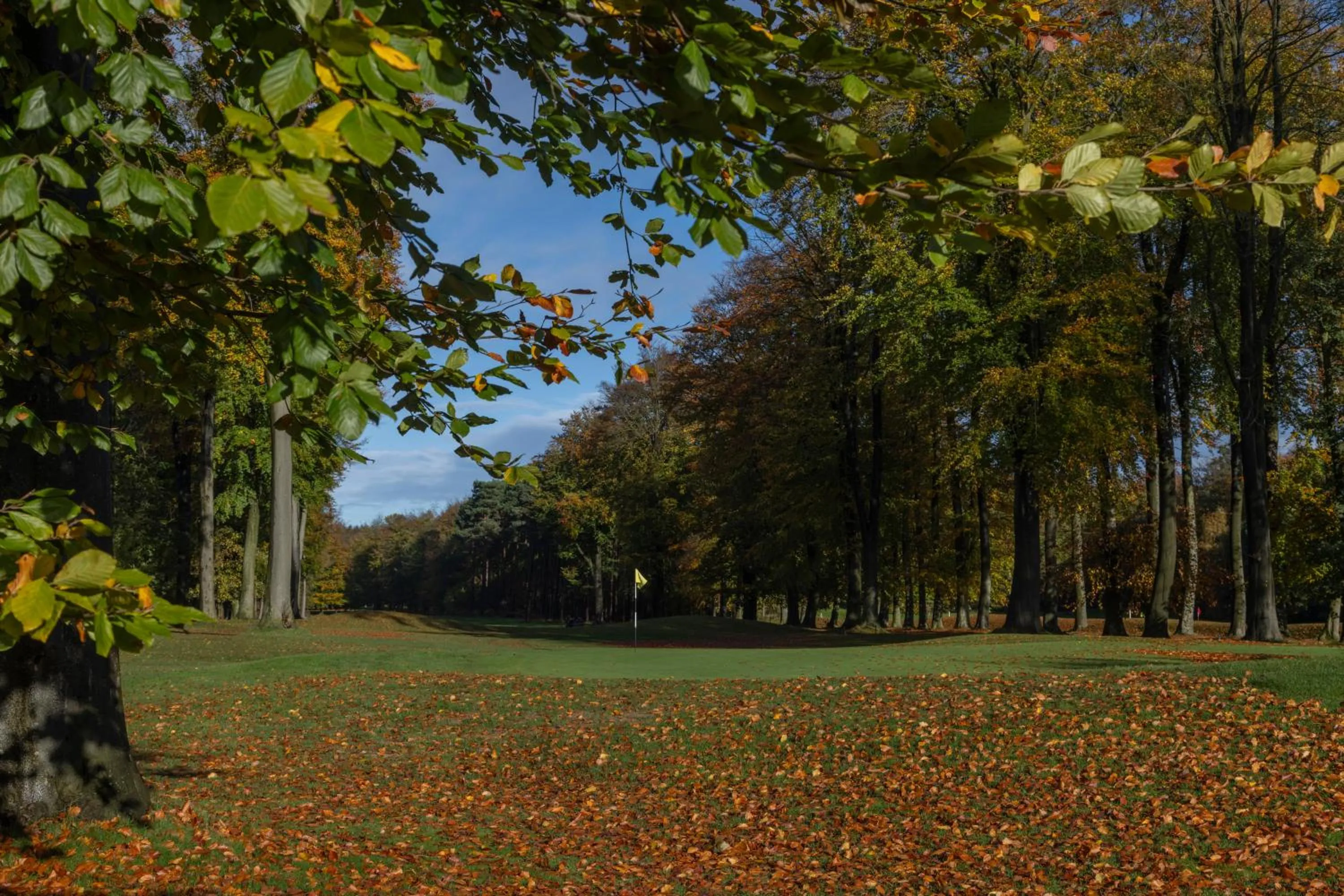 Golfcourse in Forest Pines Hotel, Spa & Golf Resort