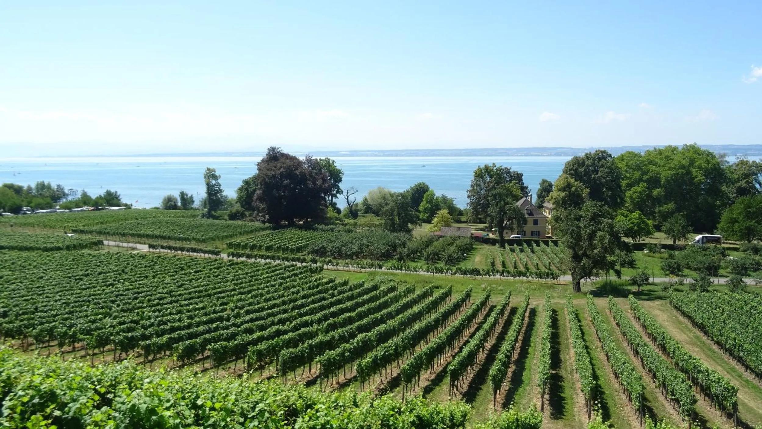 Hiking in Wohlfühlhaus Immenstaad