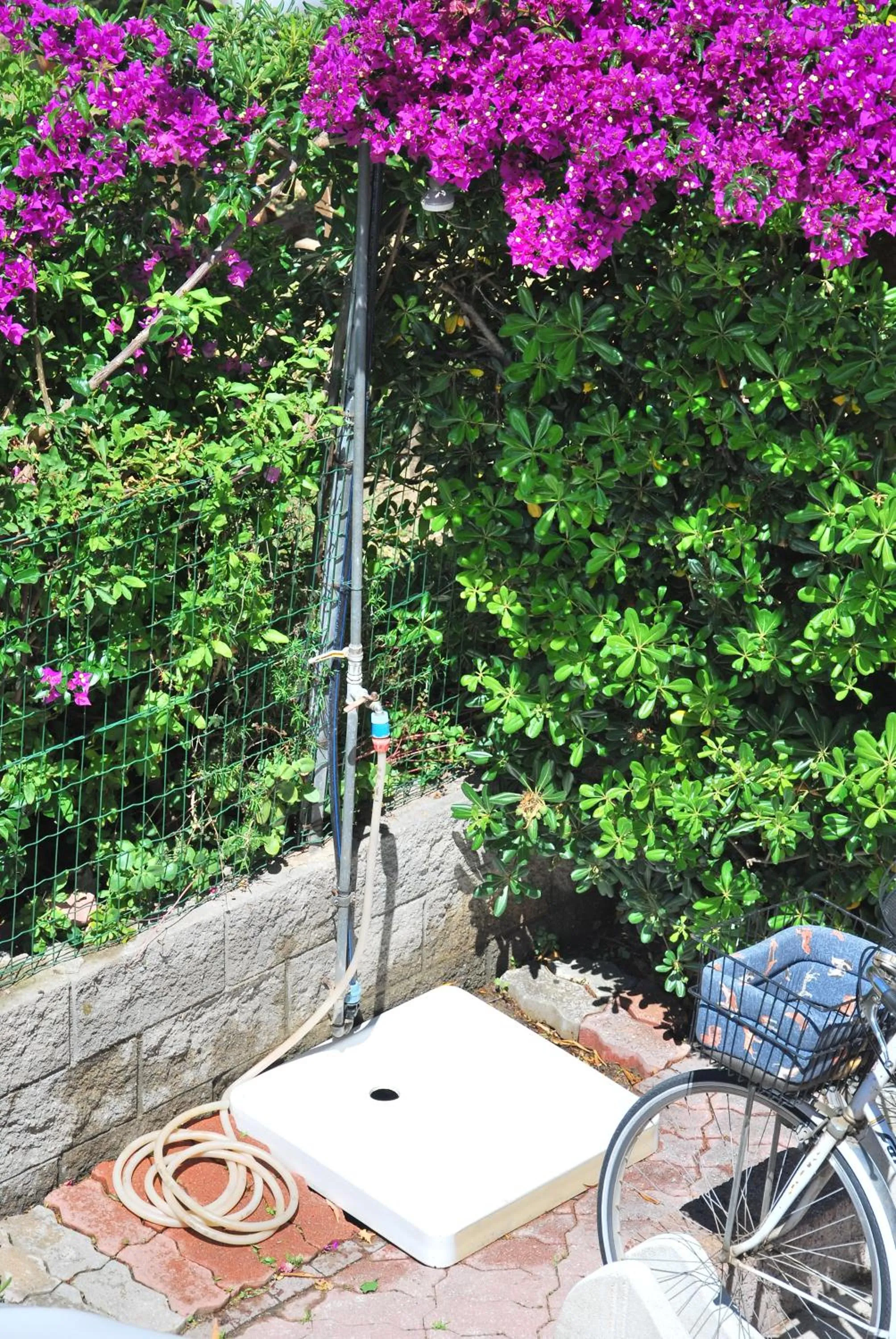 Area and facilities in Appartamenti Camelia e Gabry - Zona mare con posti auto e terrazze