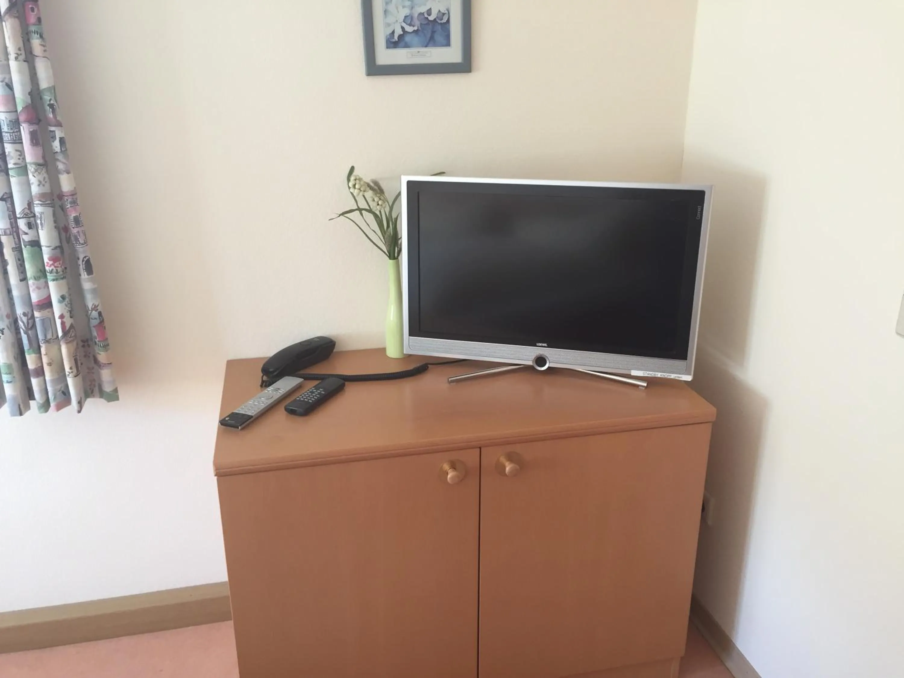 TV and multimedia in Lotus Garden