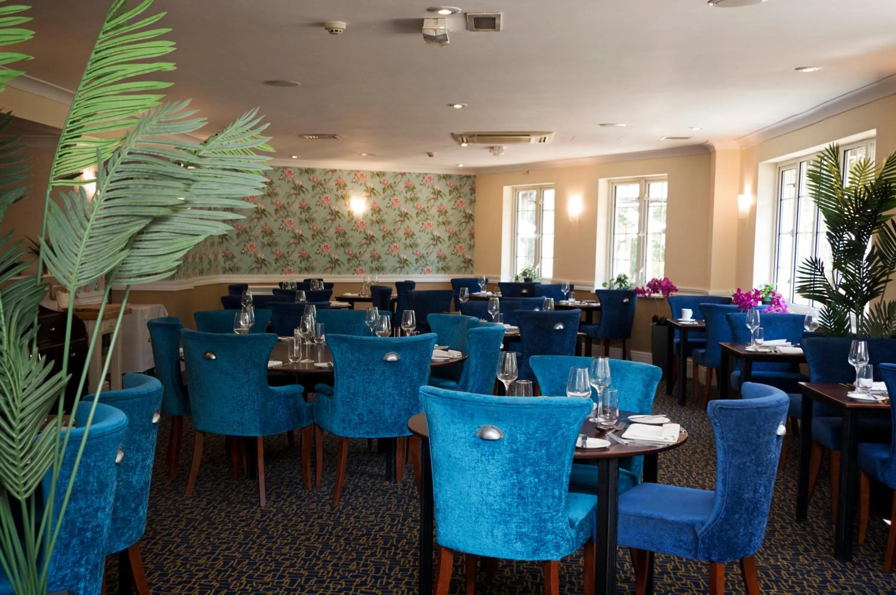 Restaurant/places to eat in Basingstoke Country Hotel & Spa