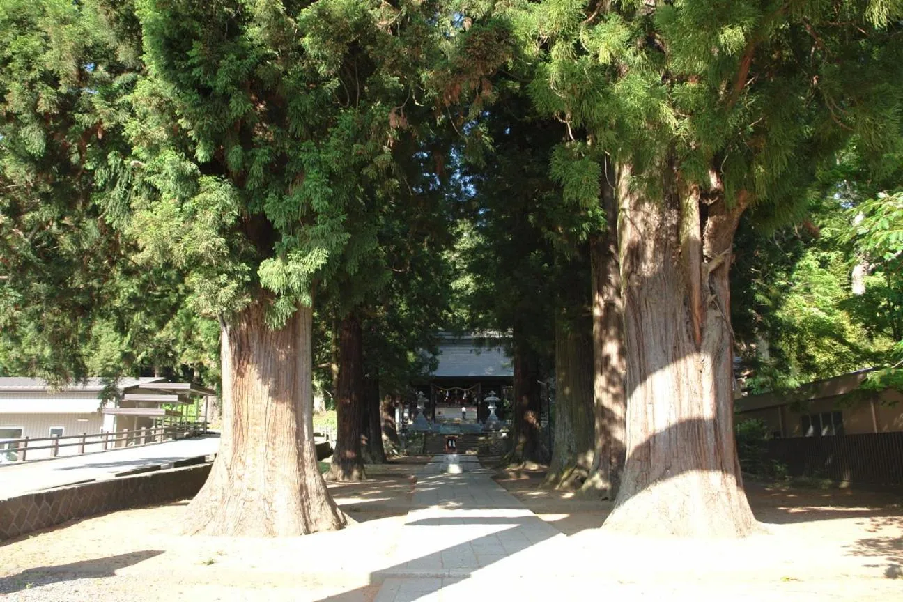 Nearby landmark in Koko