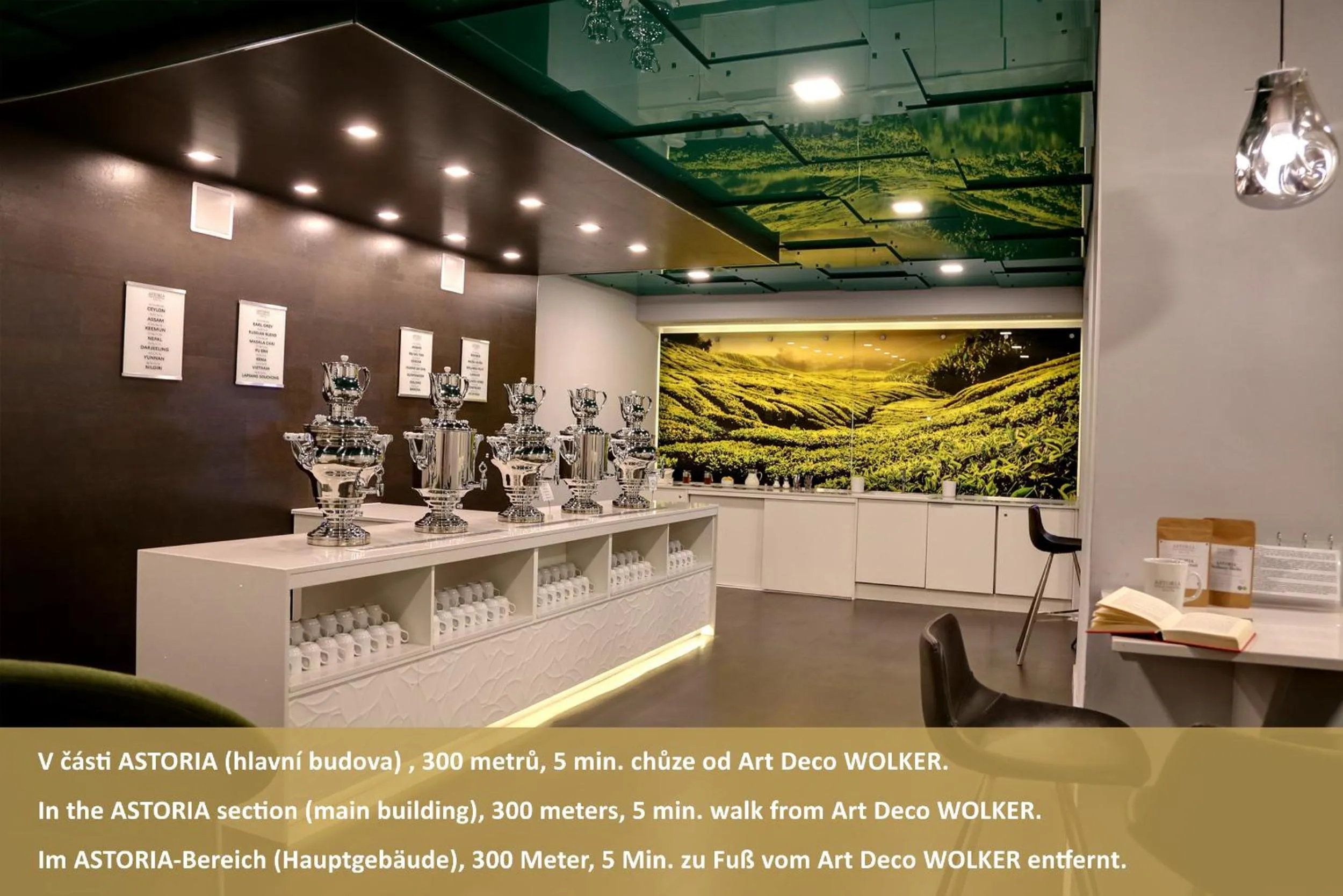 Meals in Art Deco WOLKER by ASTORIA Hotel & Medical Spa