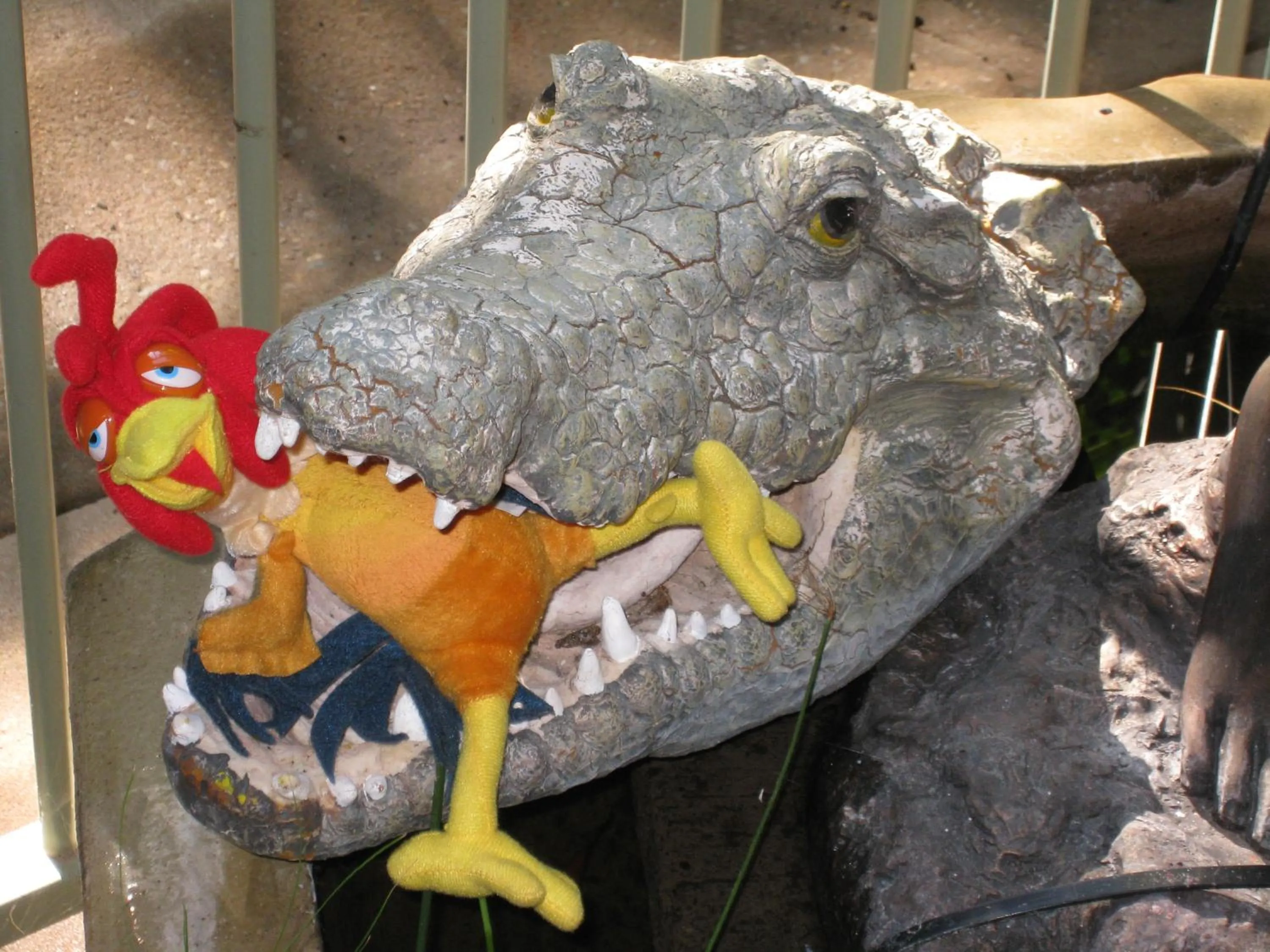 Animals in Palmerston Sunset Retreat