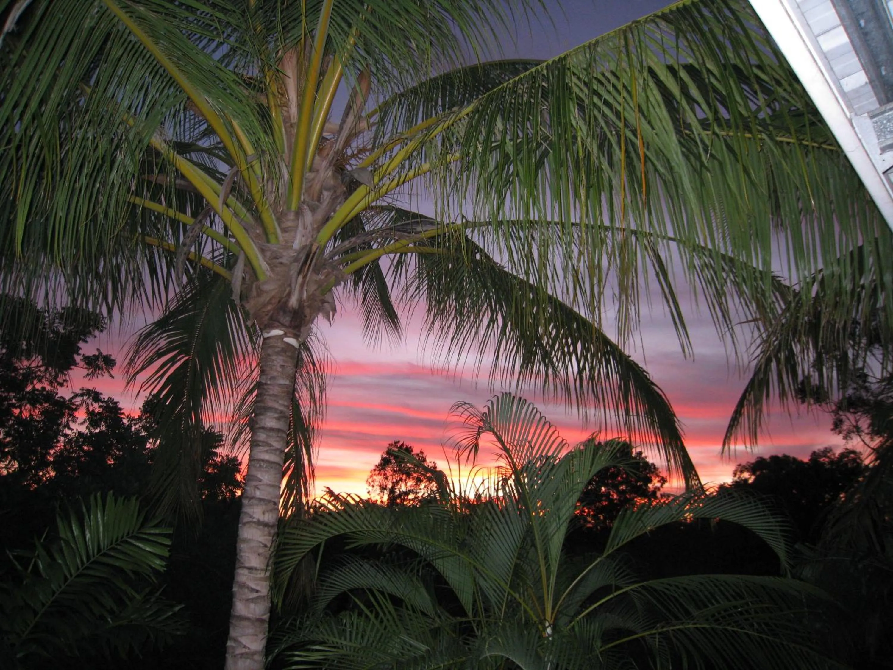 Garden view in Palmerston Sunset Retreat