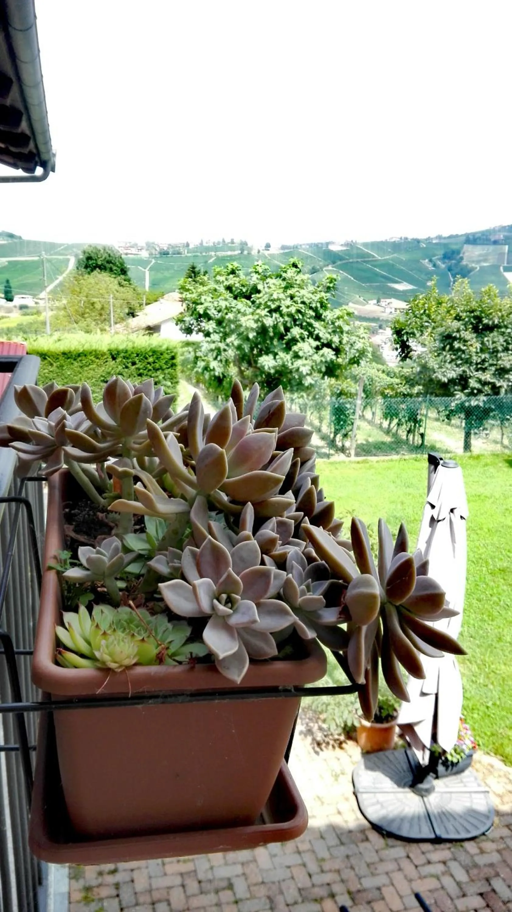 Garden view in I Tigli di Altavilla