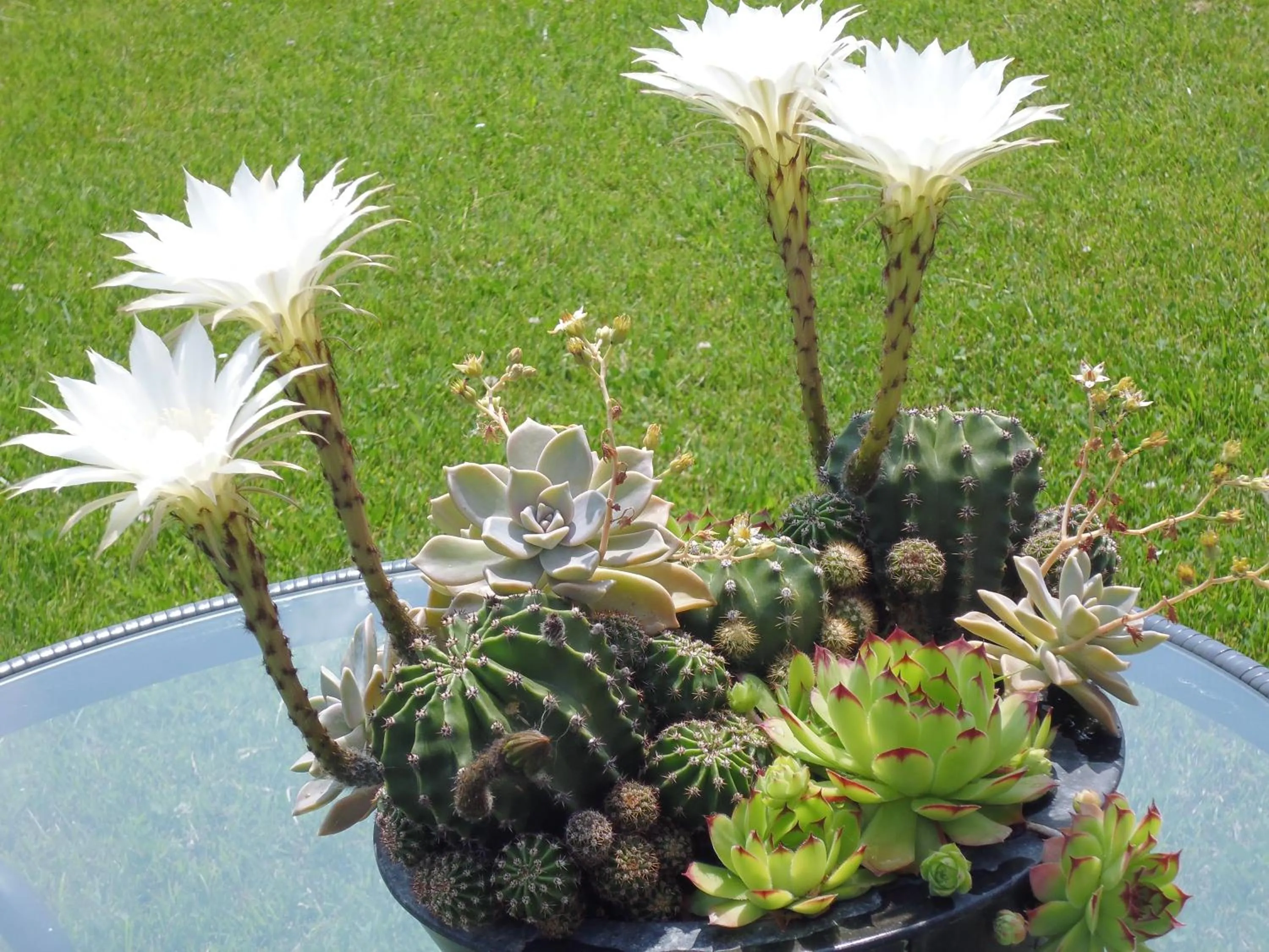 Other in I Tigli di Altavilla