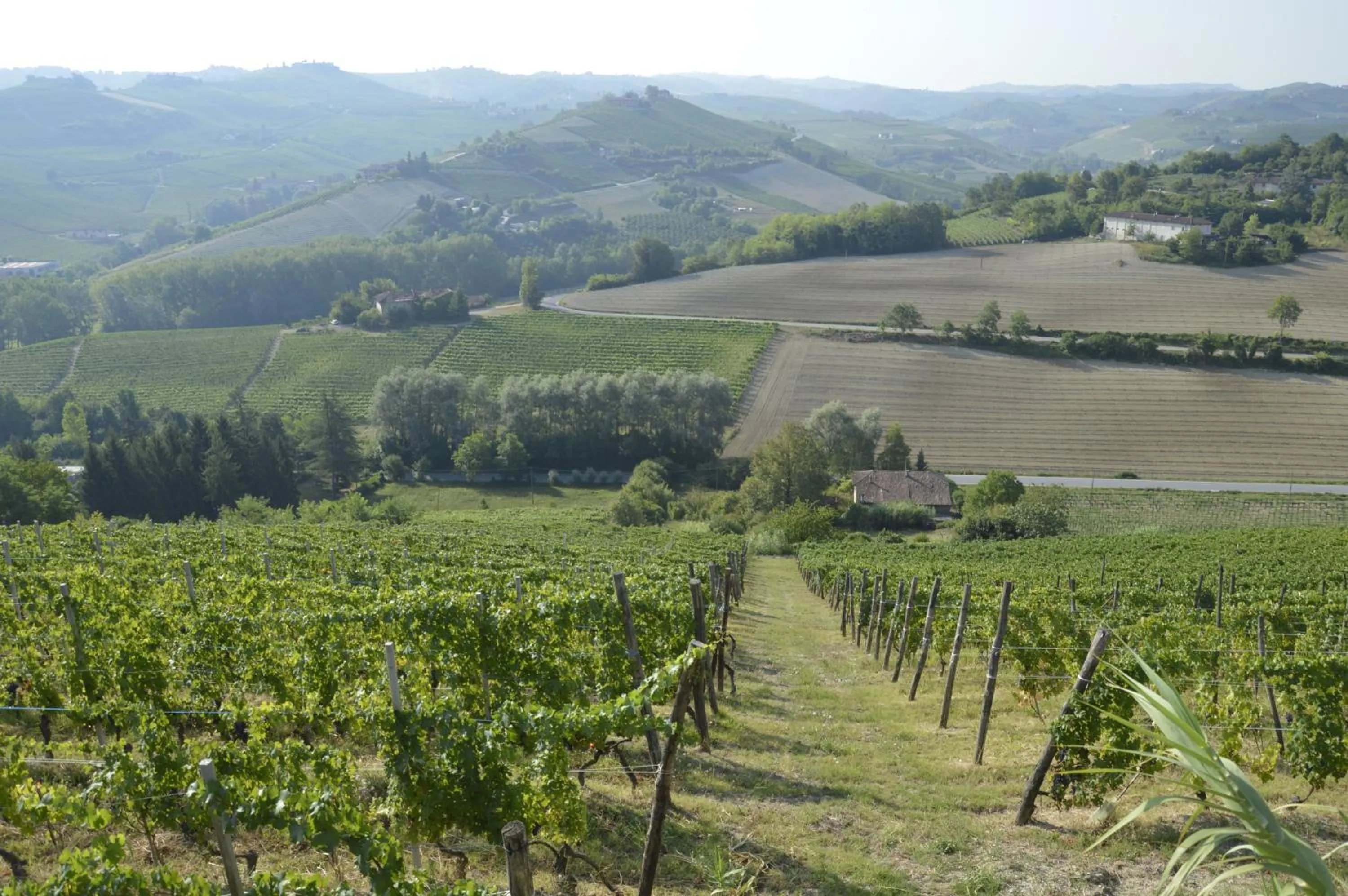 View (from property/room) in I Tigli di Altavilla