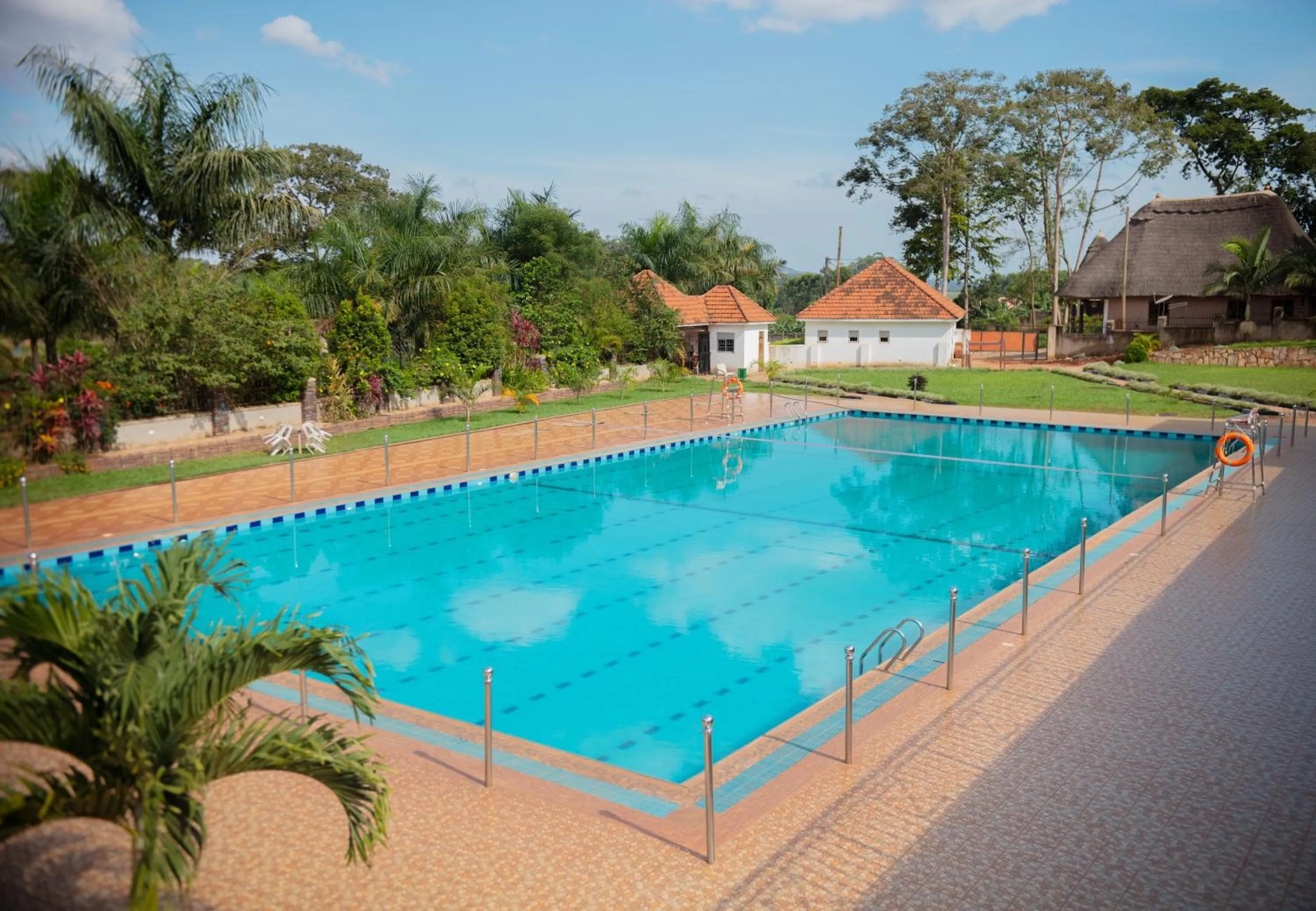 Swimming pool in Forest Park Resort
