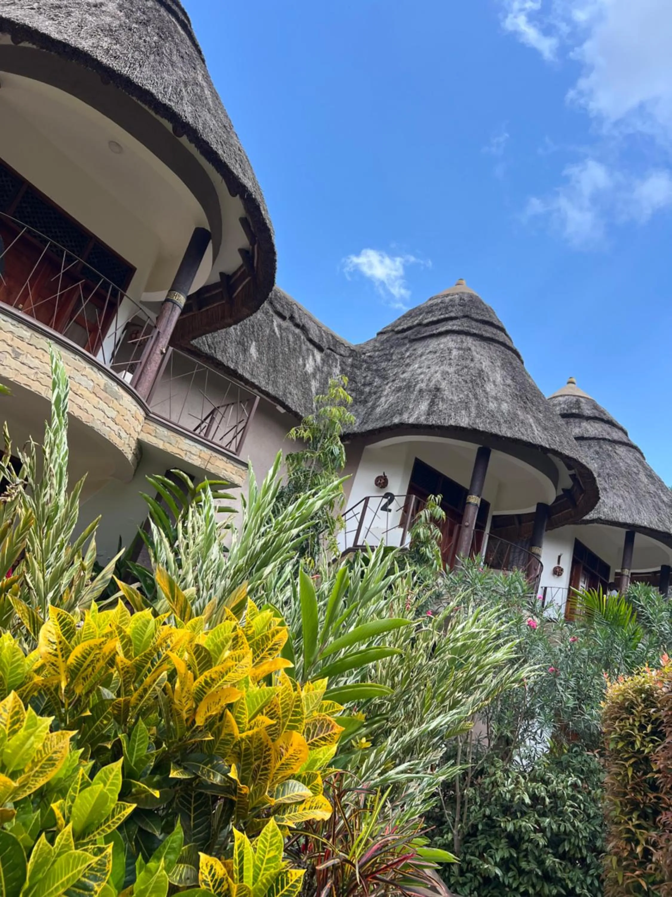 View (from property/room) in Forest Park Resort