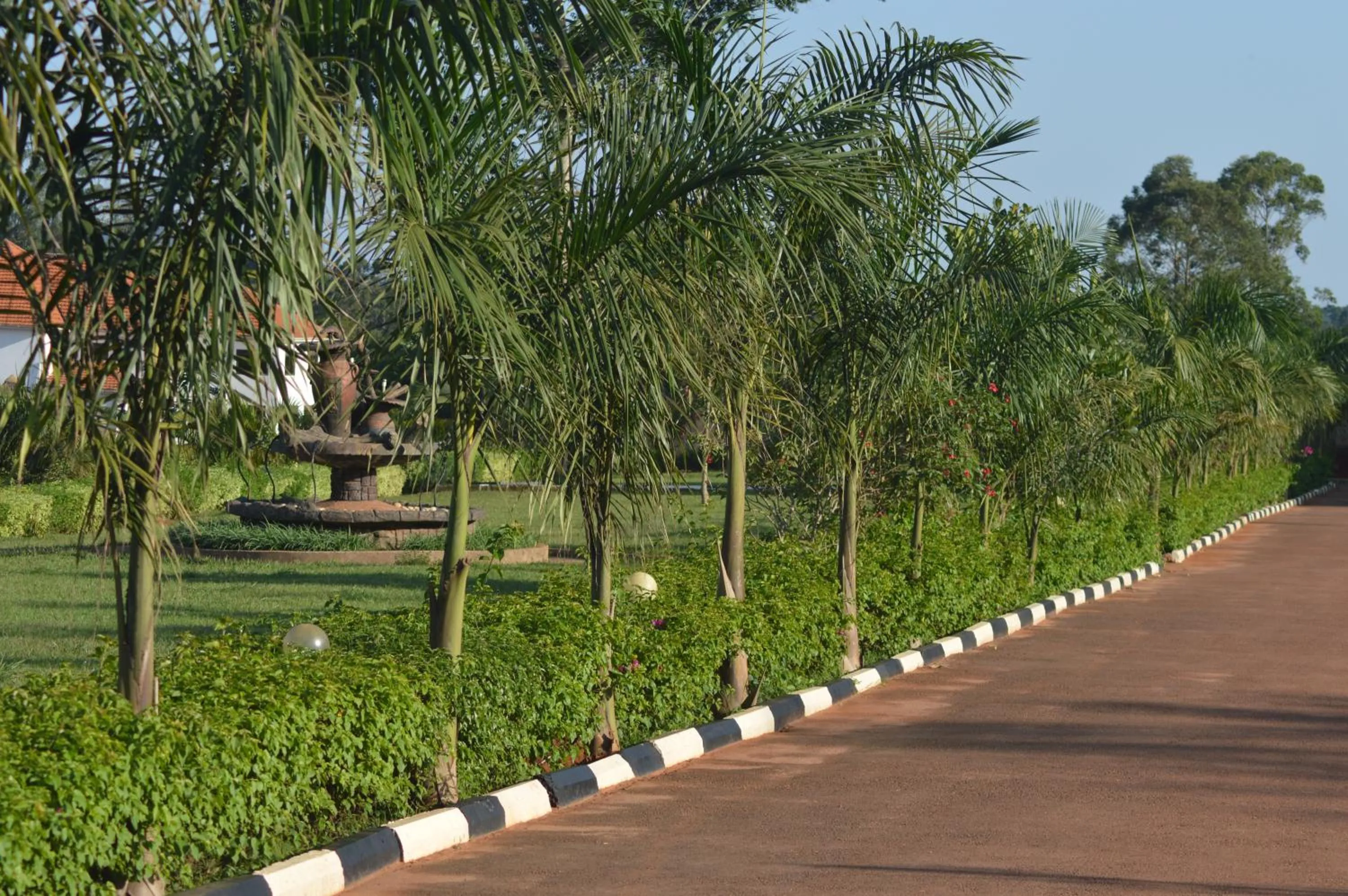 Street view in Forest Park Resort