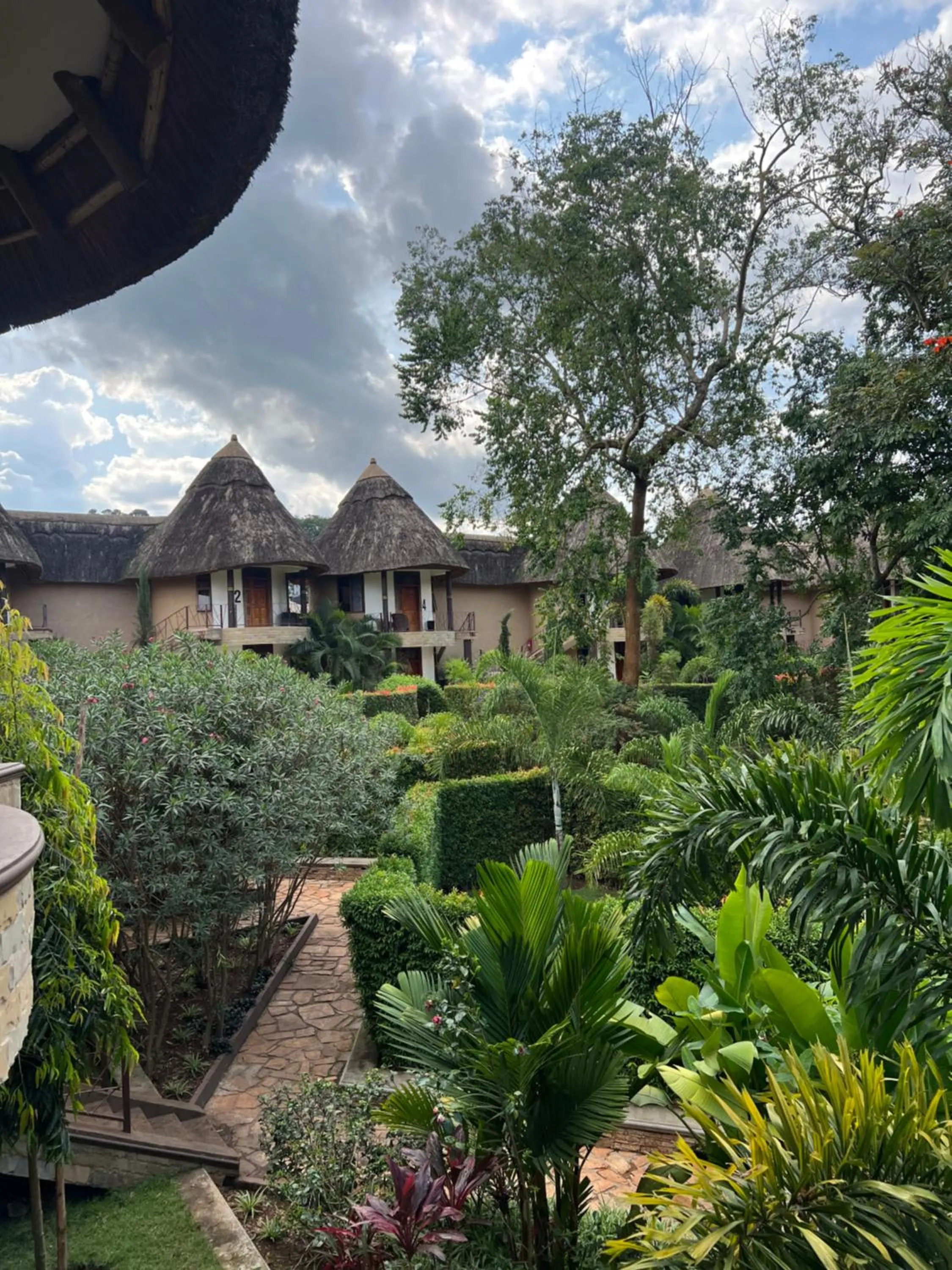 View (from property/room) in Forest Park Resort