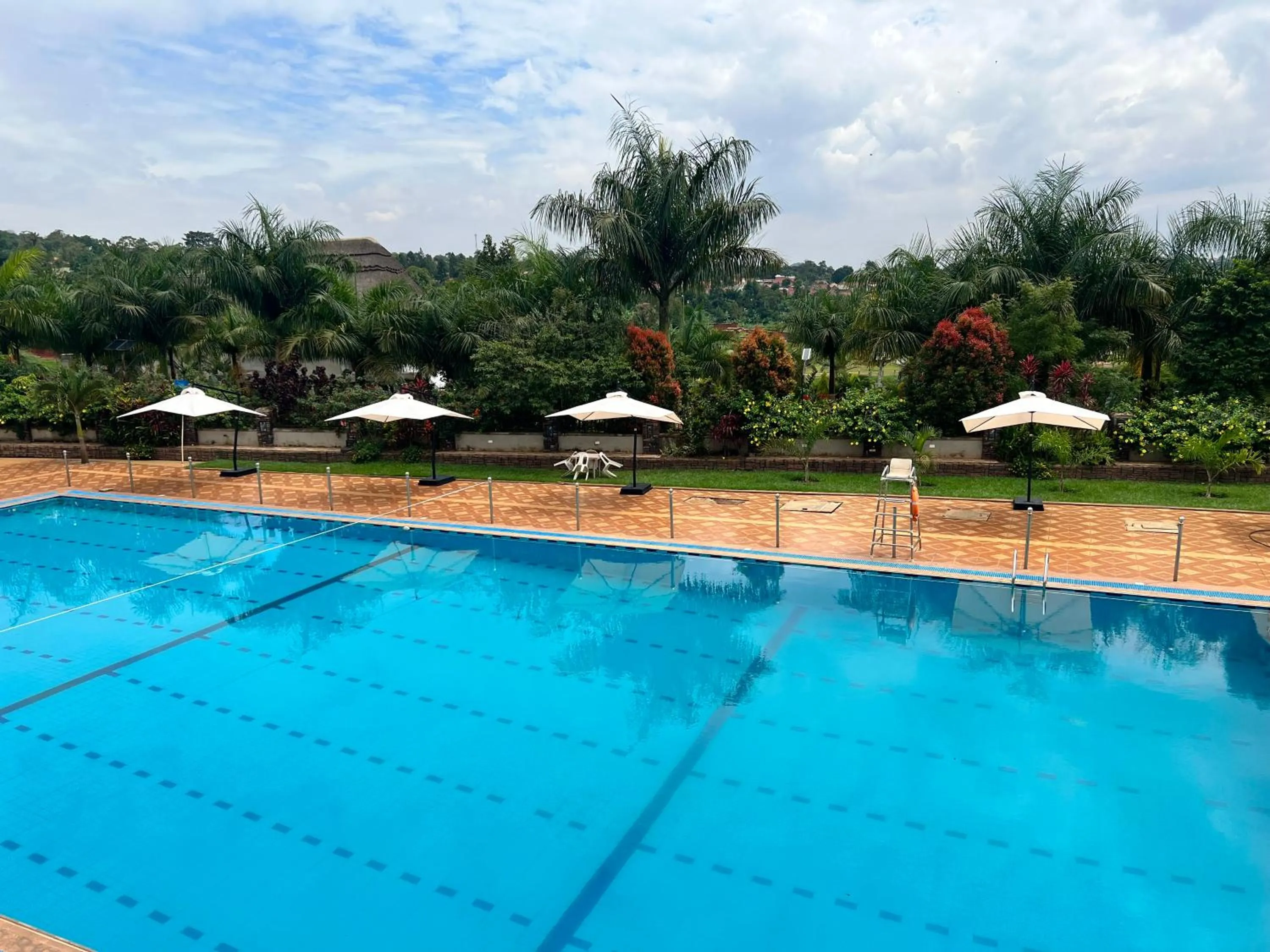 Swimming pool in Forest Park Resort