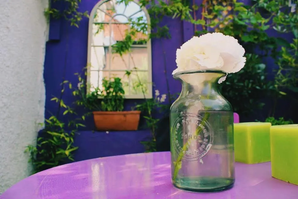 Garden in Glanmor Garden Apartment