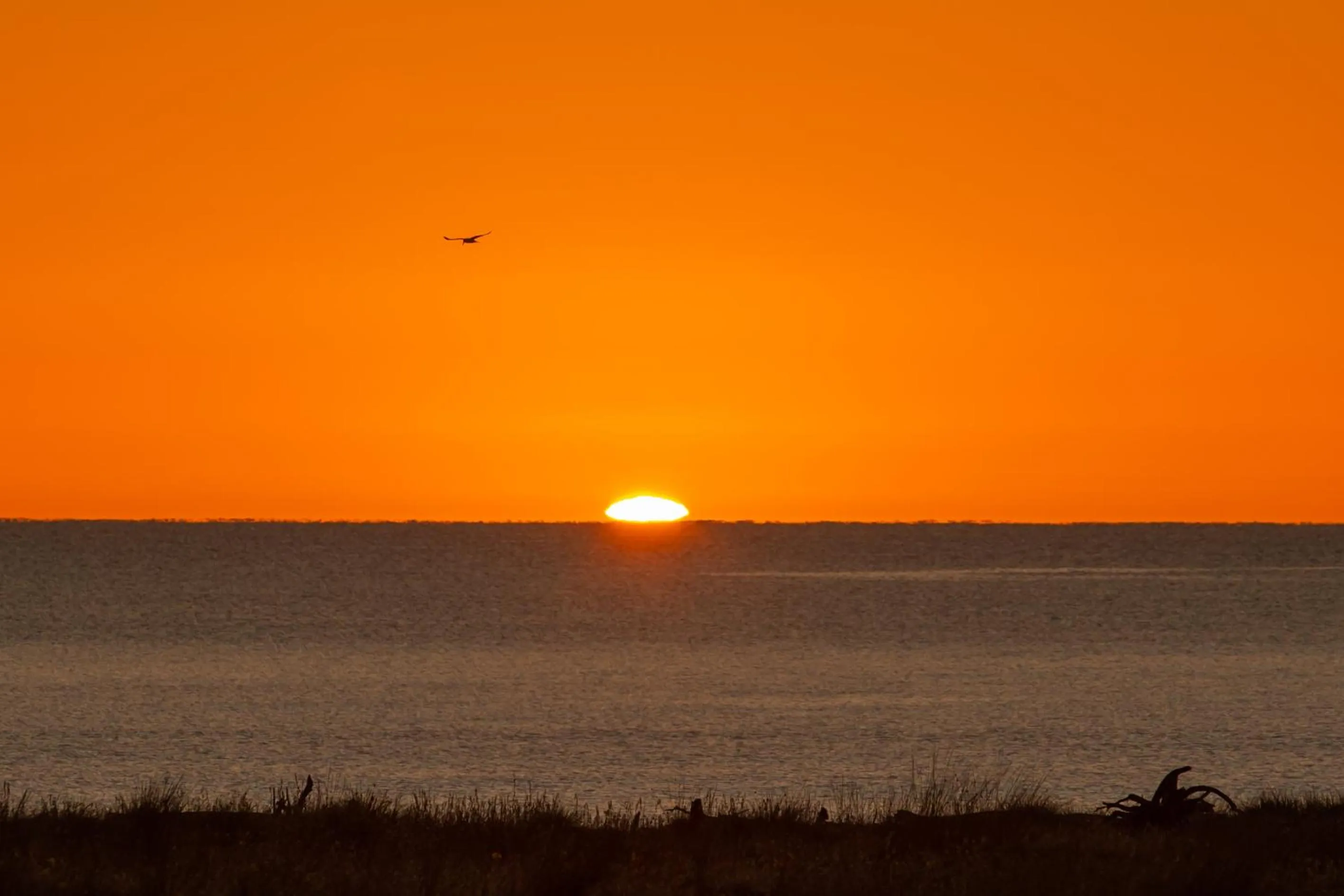 Sea view in Ocean View Beachfront Apartment
