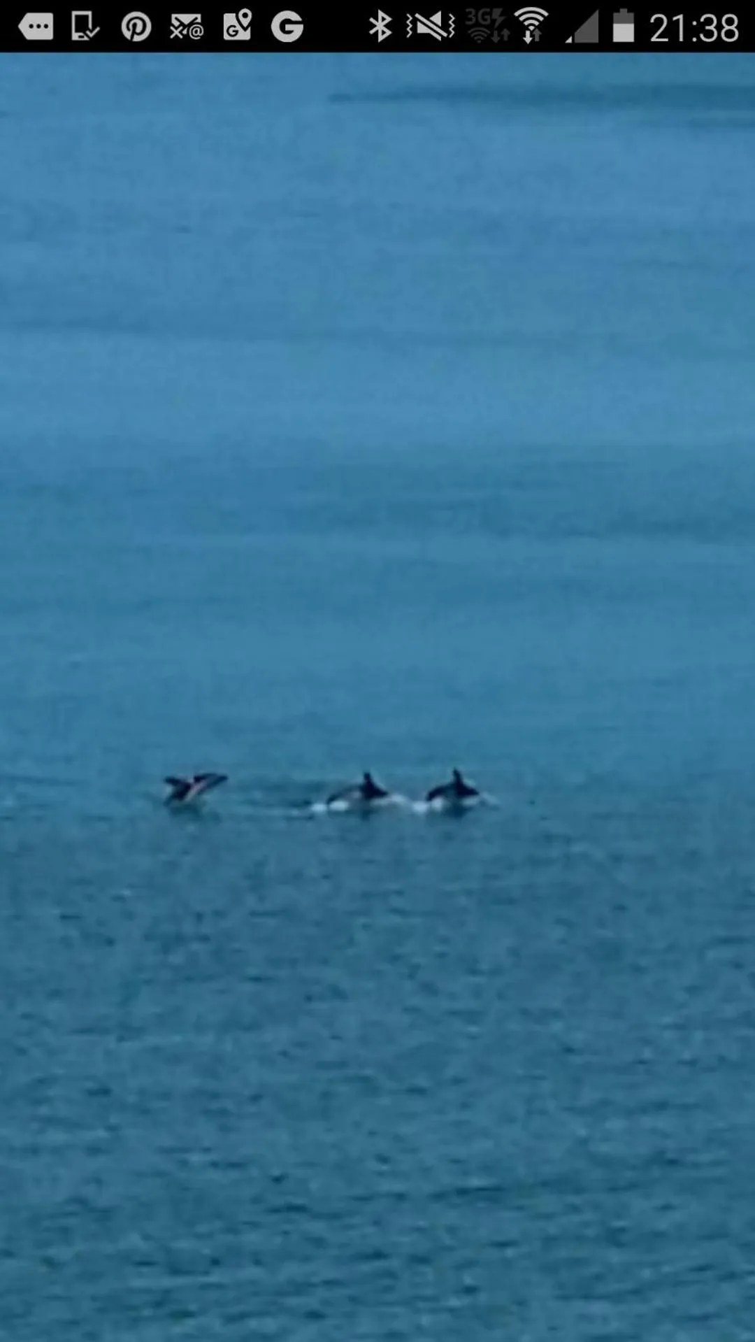 Neighbourhood in Ocean View Beachfront Apartment