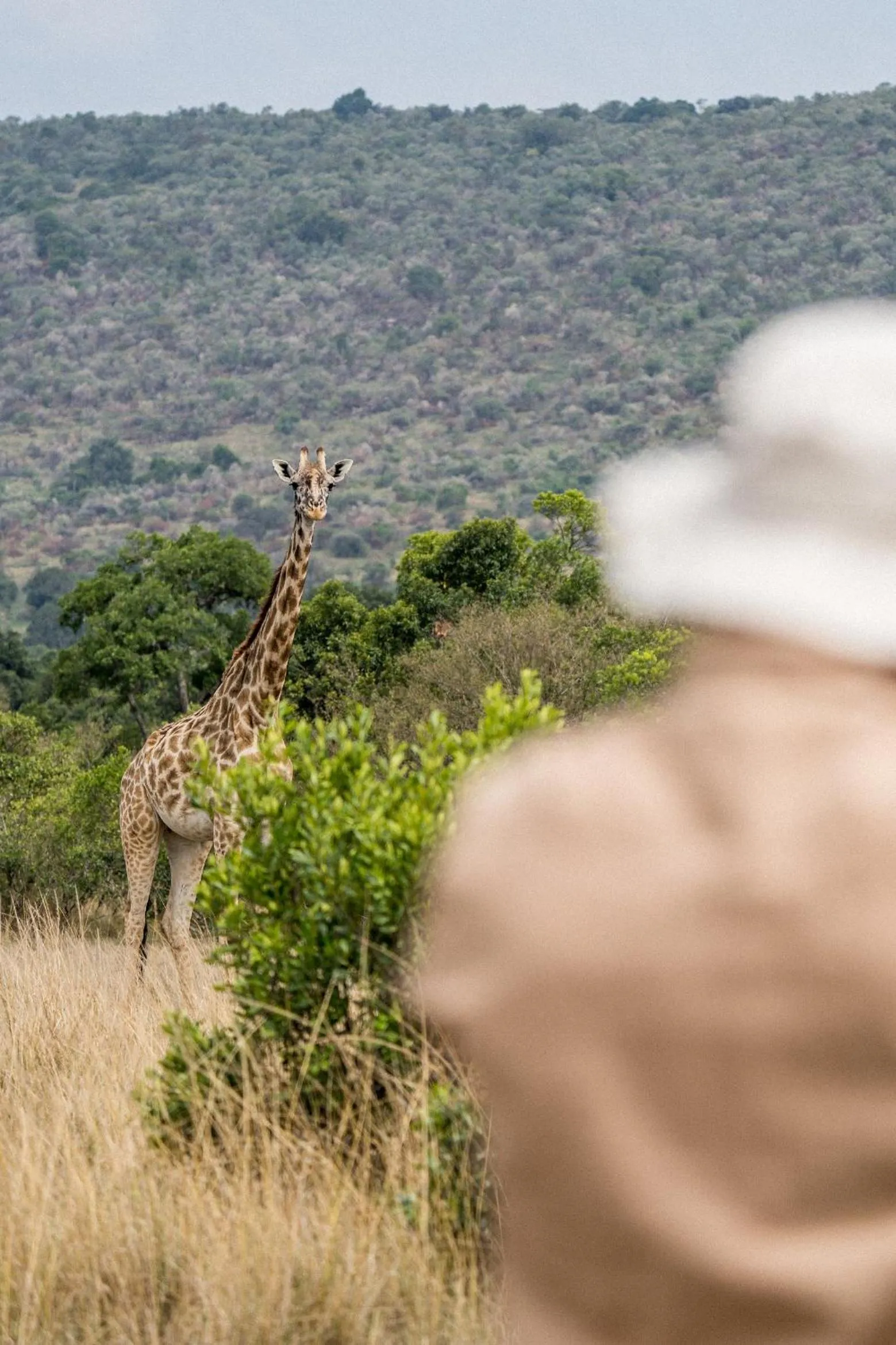 Natural landscape in Royal Mara Safari Lodge