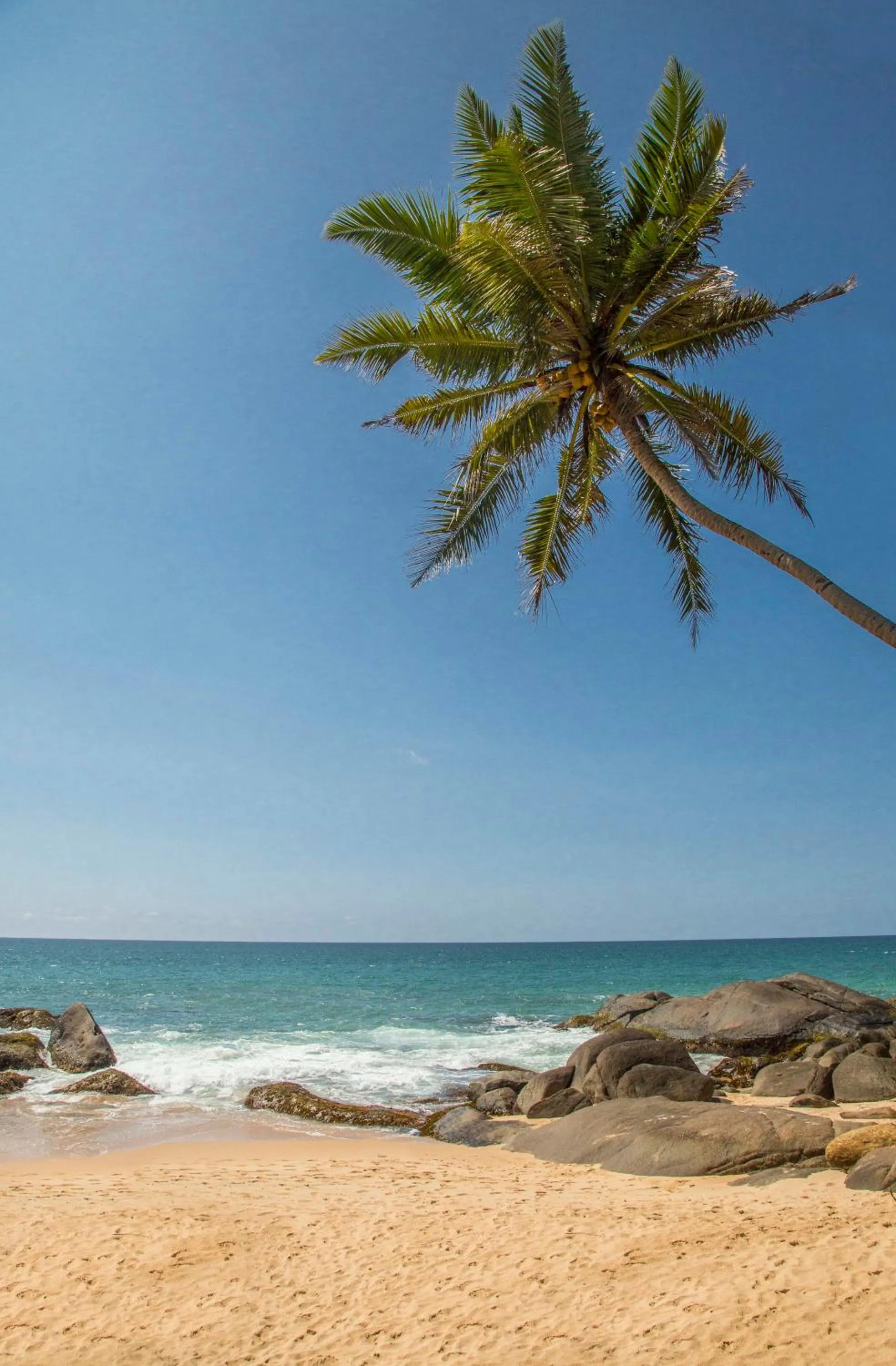 Beach in The Sandals By Edwards Collection - Balapitiya