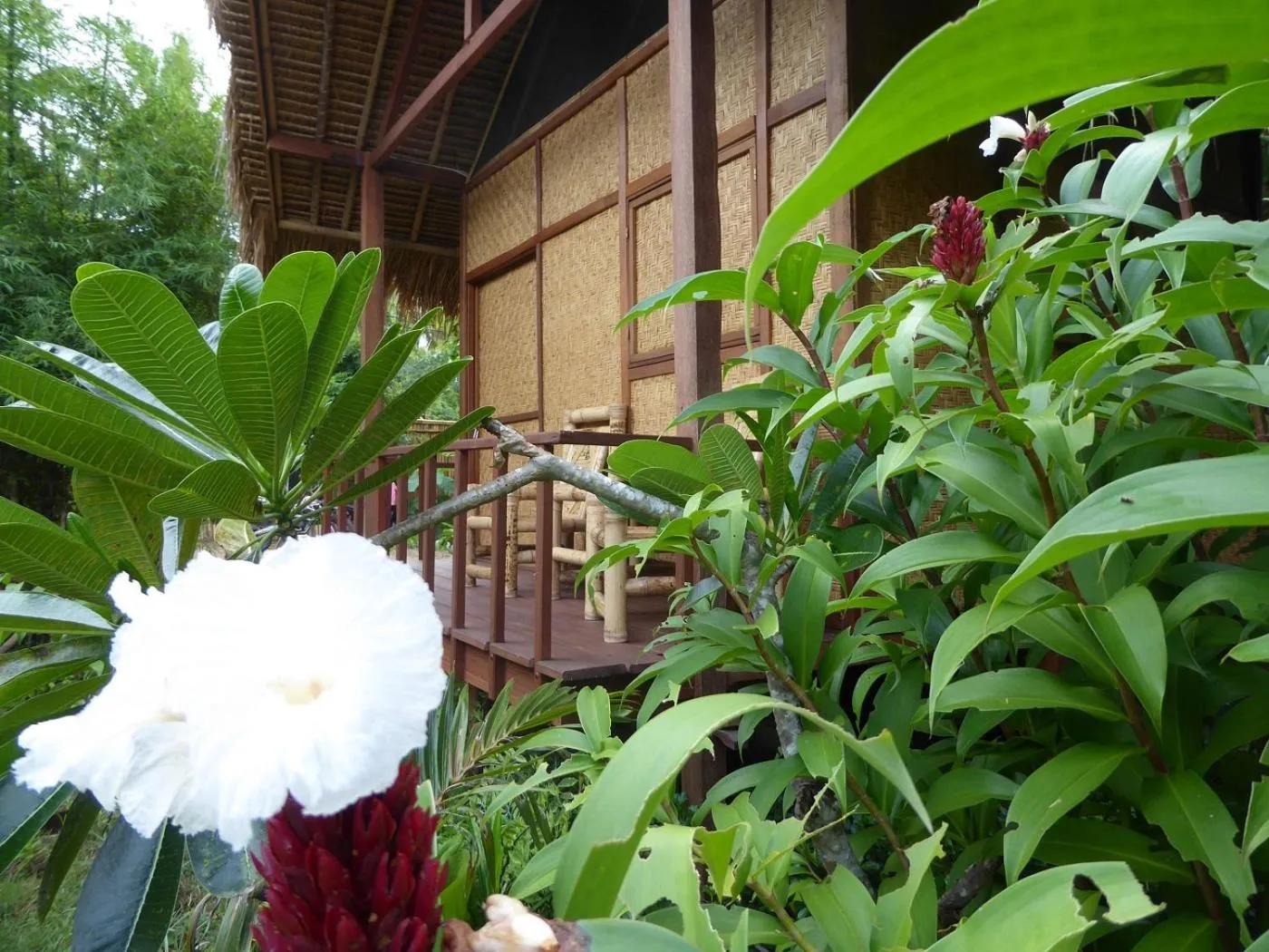 Property building in Shibui Garden Bungalows and Restaurant